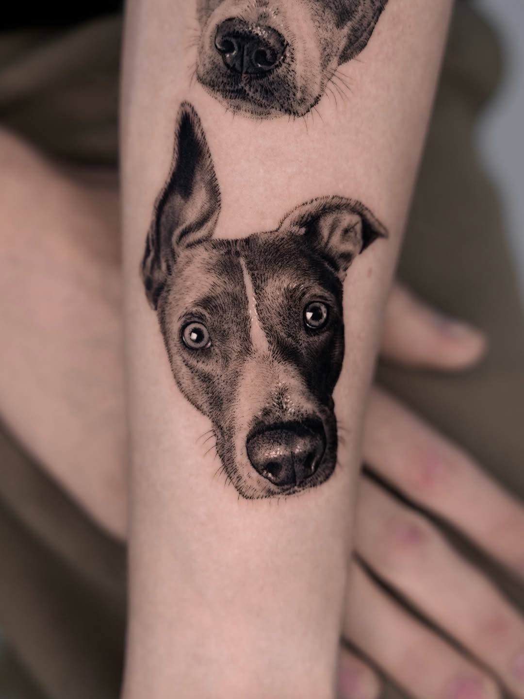Dog portrait realism tattoo on the forearm by Jun
