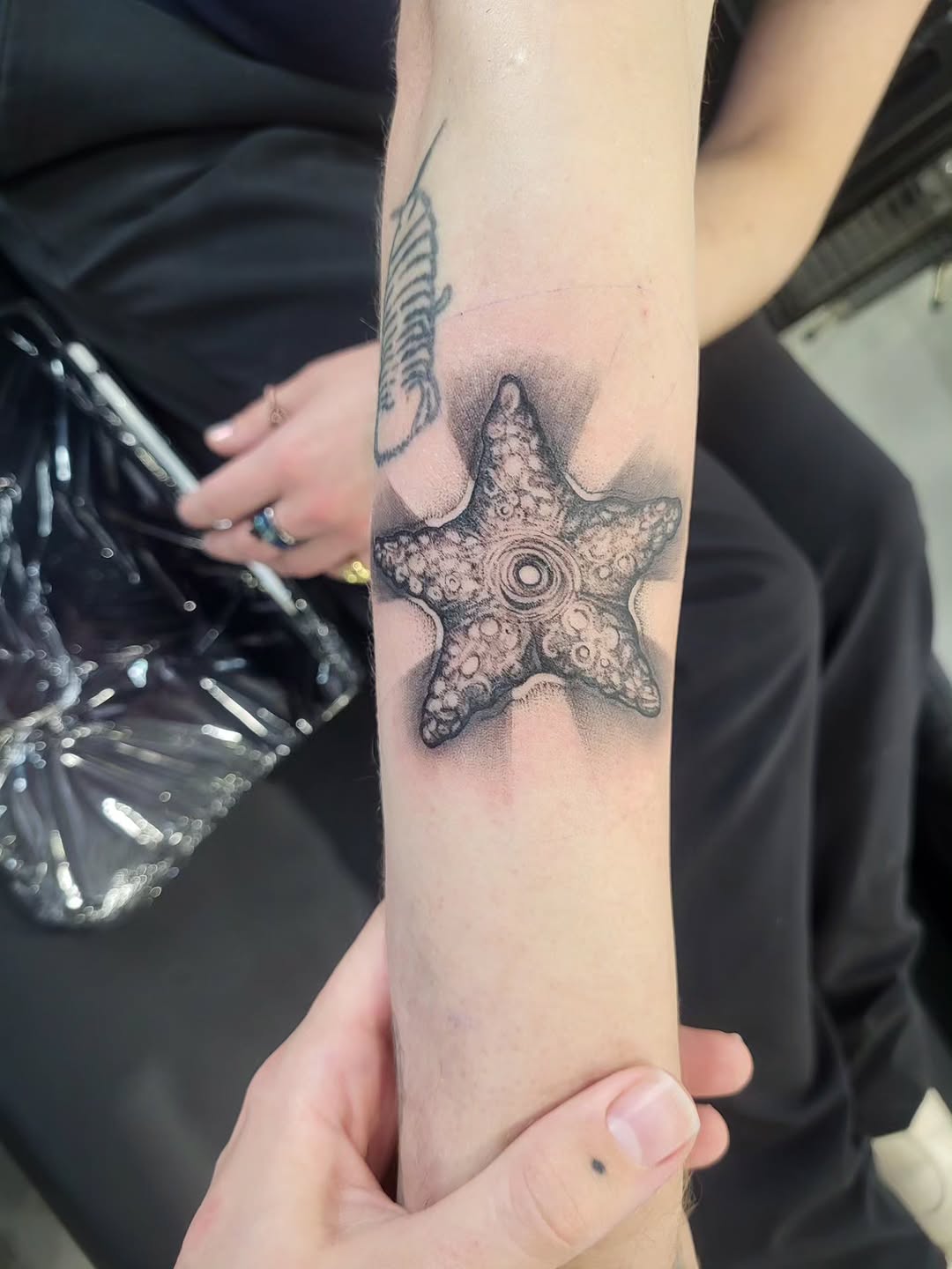 Starfish fine line tattoo on the forearm by TEA ☕️ Tattoos