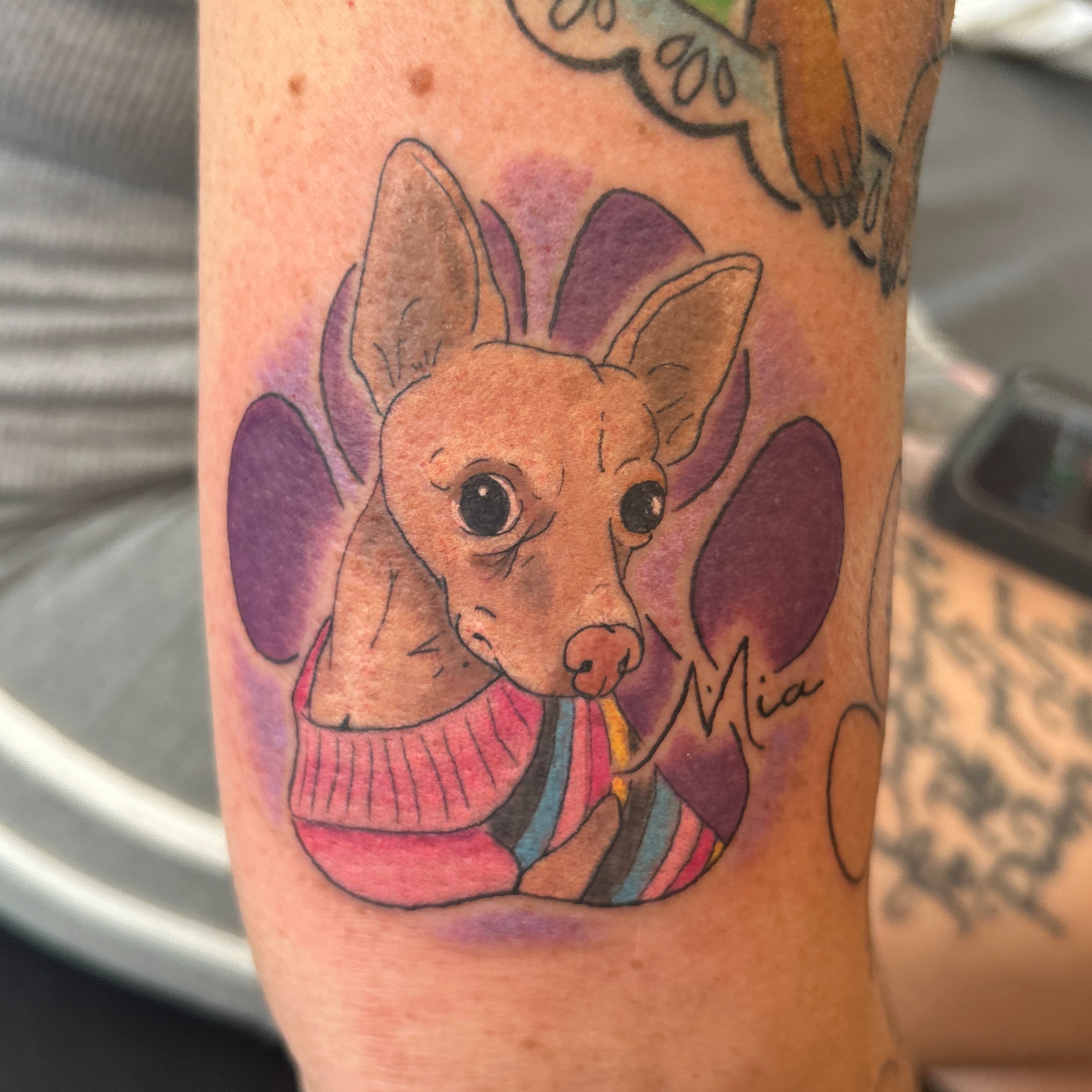 Dog wearing sweater watercolor tattoo on the forearm by Mickey