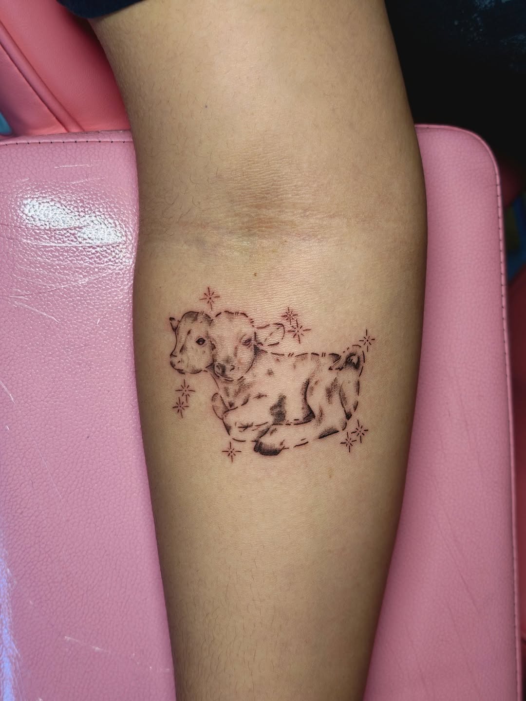 Two calves with stars fine line tattoo on the forearm by Dani Sandoval, Anaheim, California