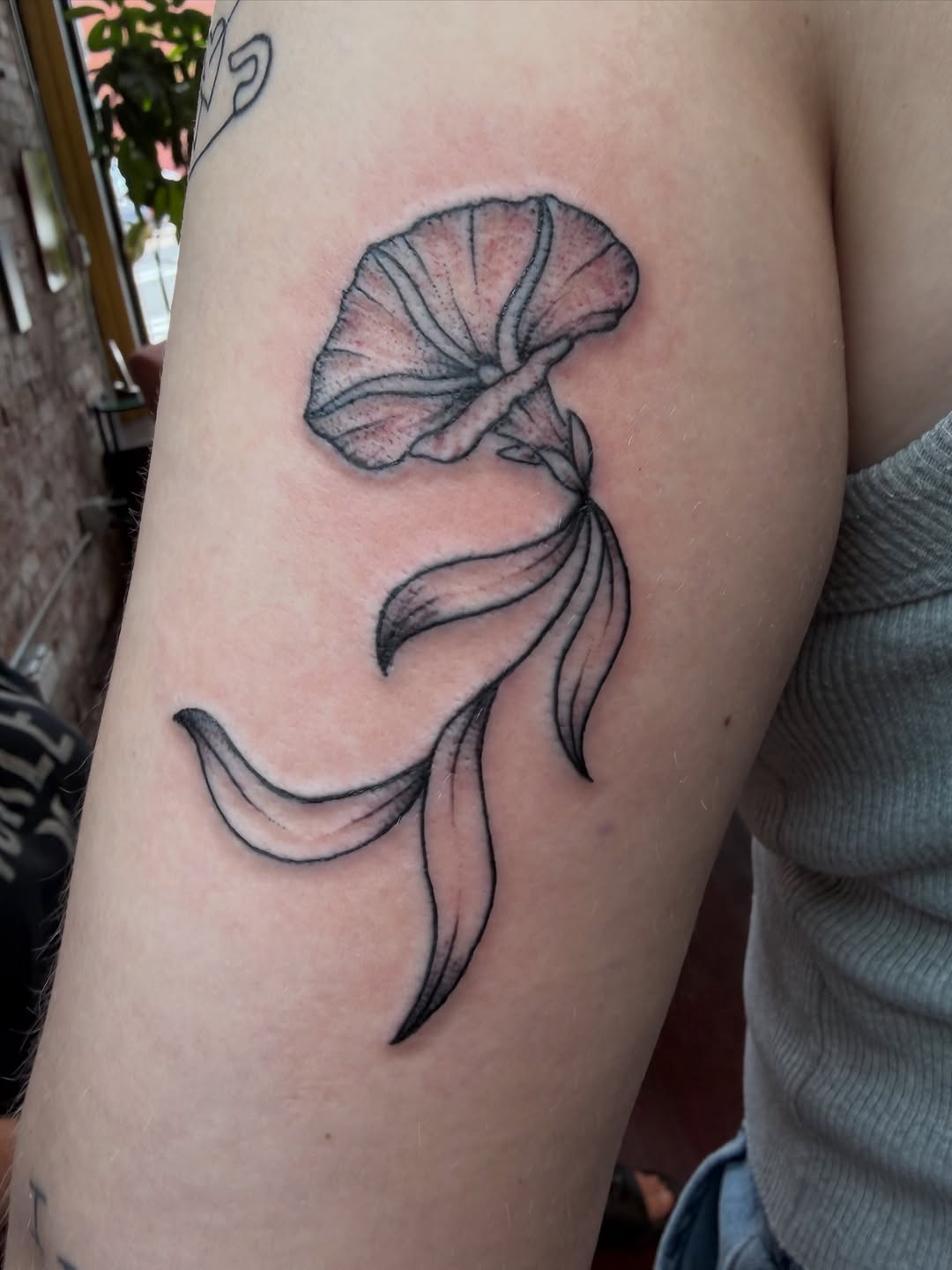 Tattoo by @evanvtattoos — fine_line, black_and_grey
