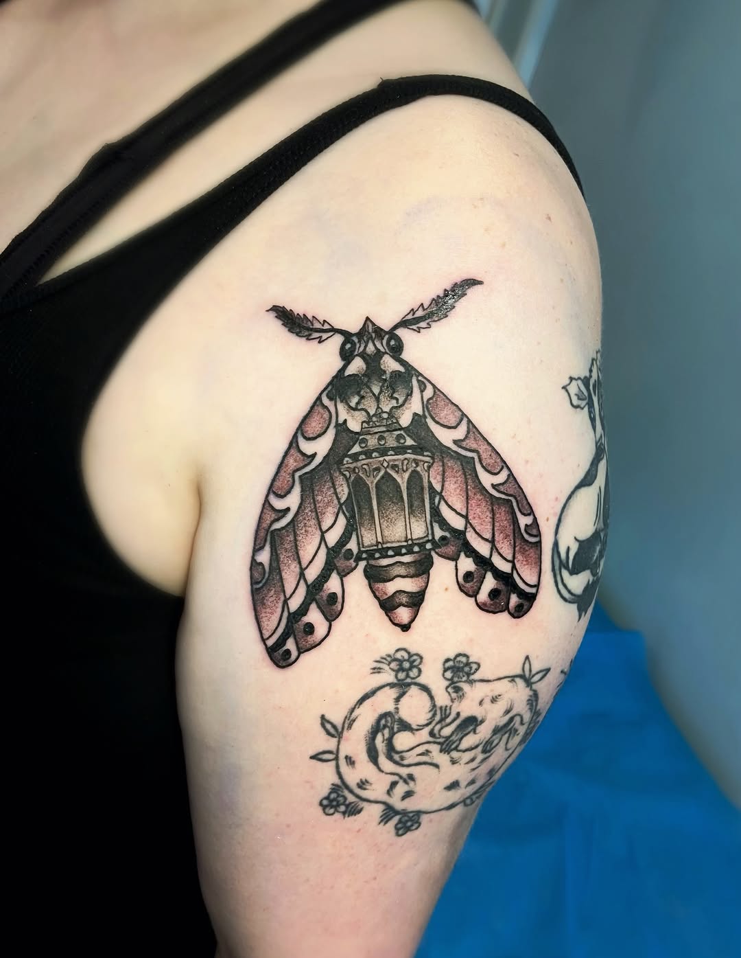 Moth with lantern fine line tattoo on the shoulder by Shay Cole