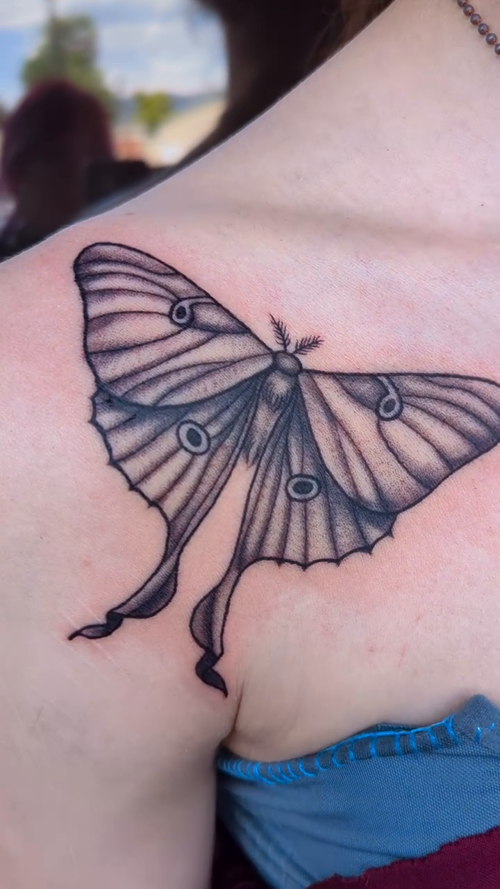 Luna moth tattoo fine line tattoo on the shoulder by Raven FM-Tattoo Apprentice