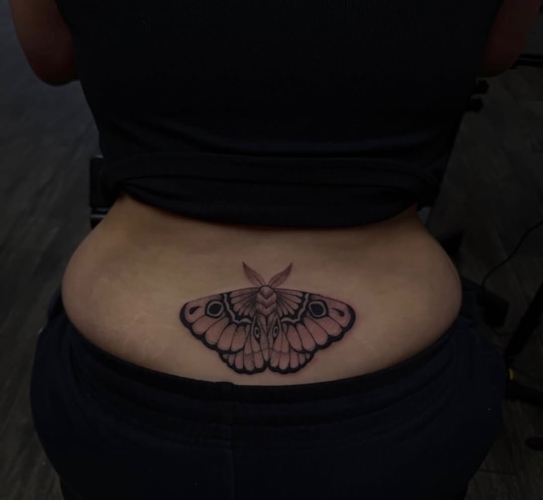 Moth fine line tattoo on the torso by @elijahtats
