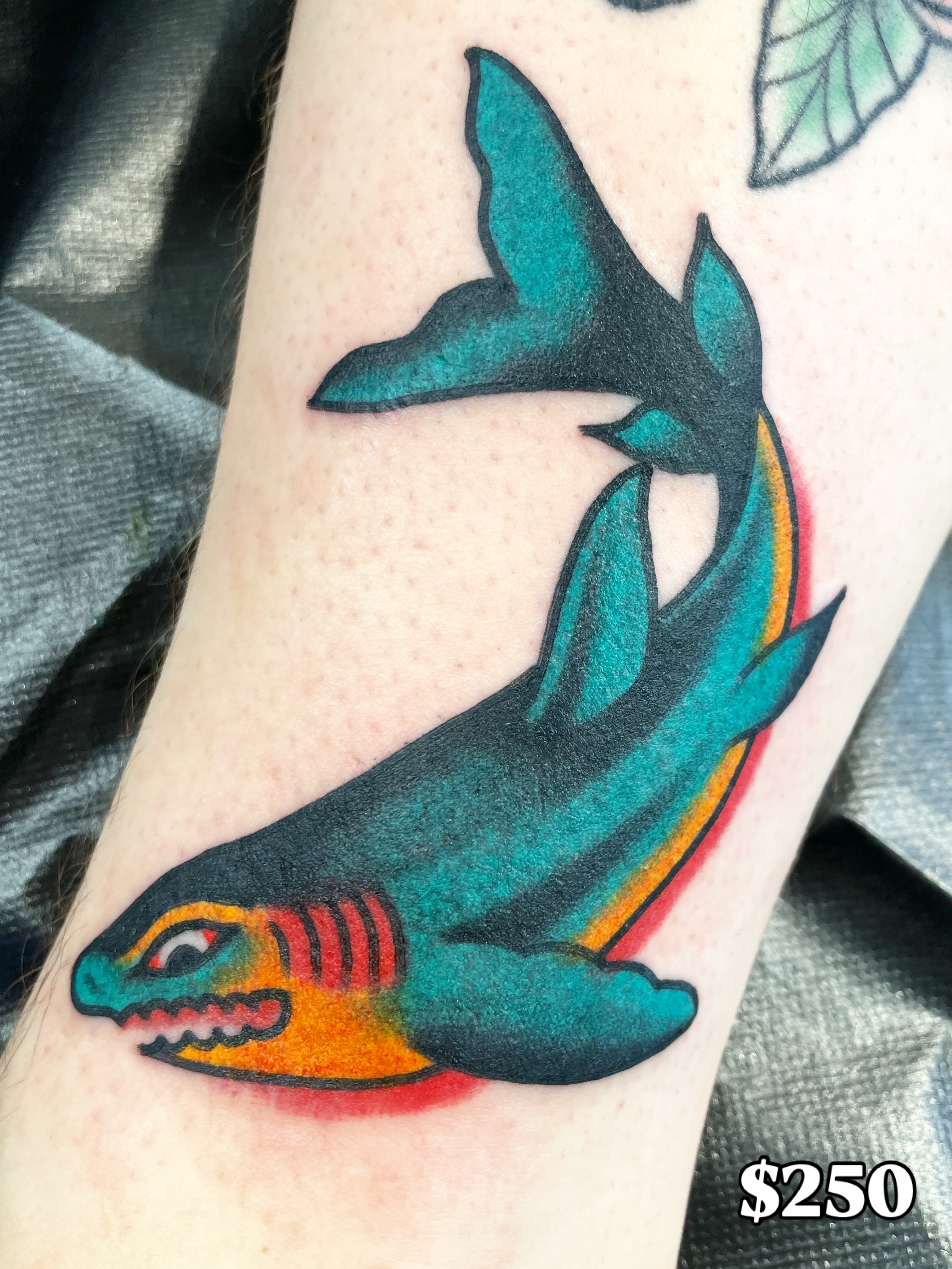 Shark American traditional tattoo on the forearm by matt nelson