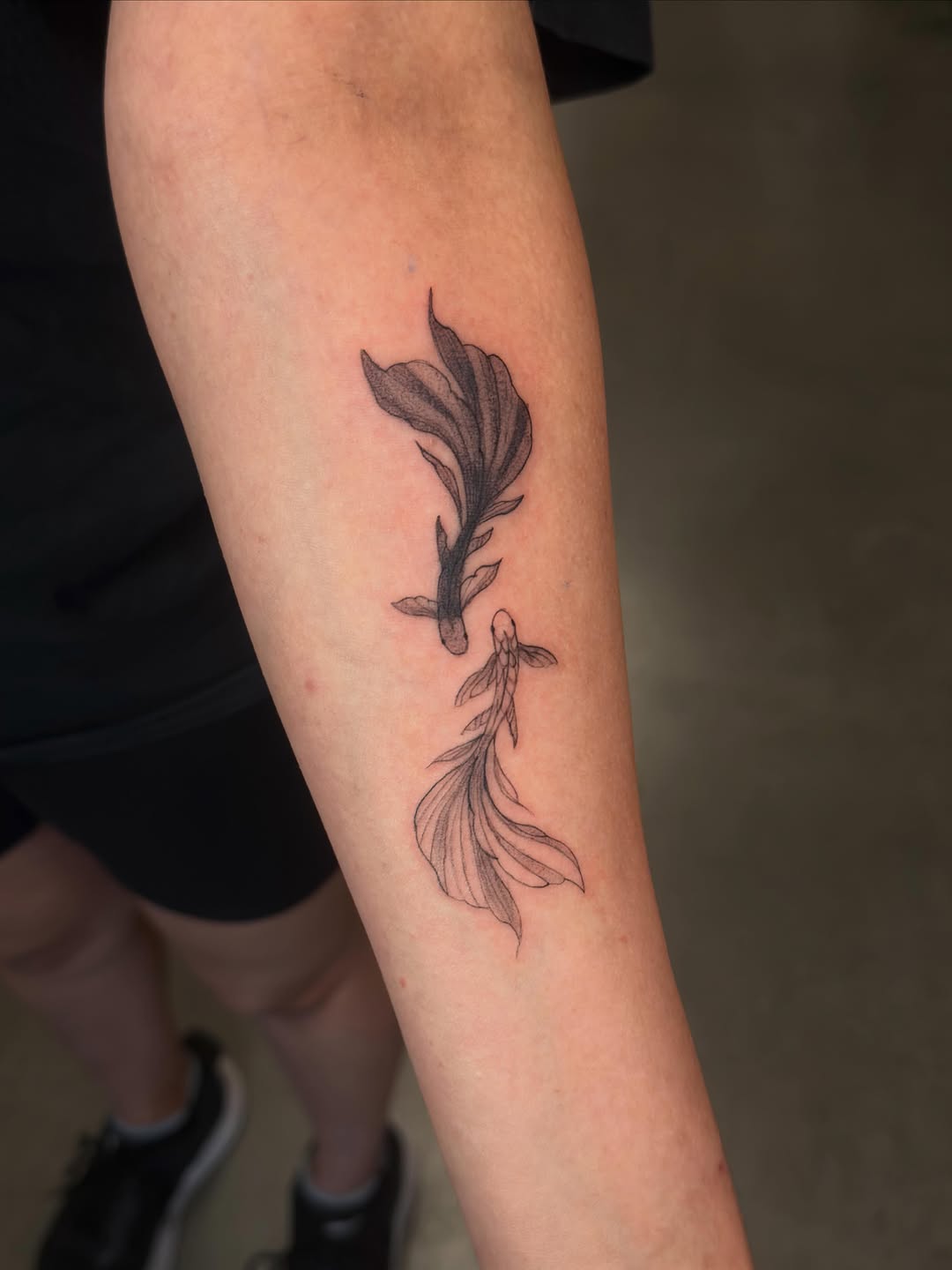 Two betta fish fine line tattoo on the forearm by Lxx.