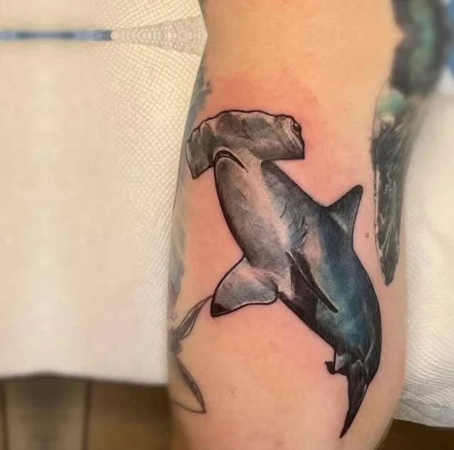 Hammerhead shark fine line tattoo on the forearm by Raheem Jacobs, Austin, Texas