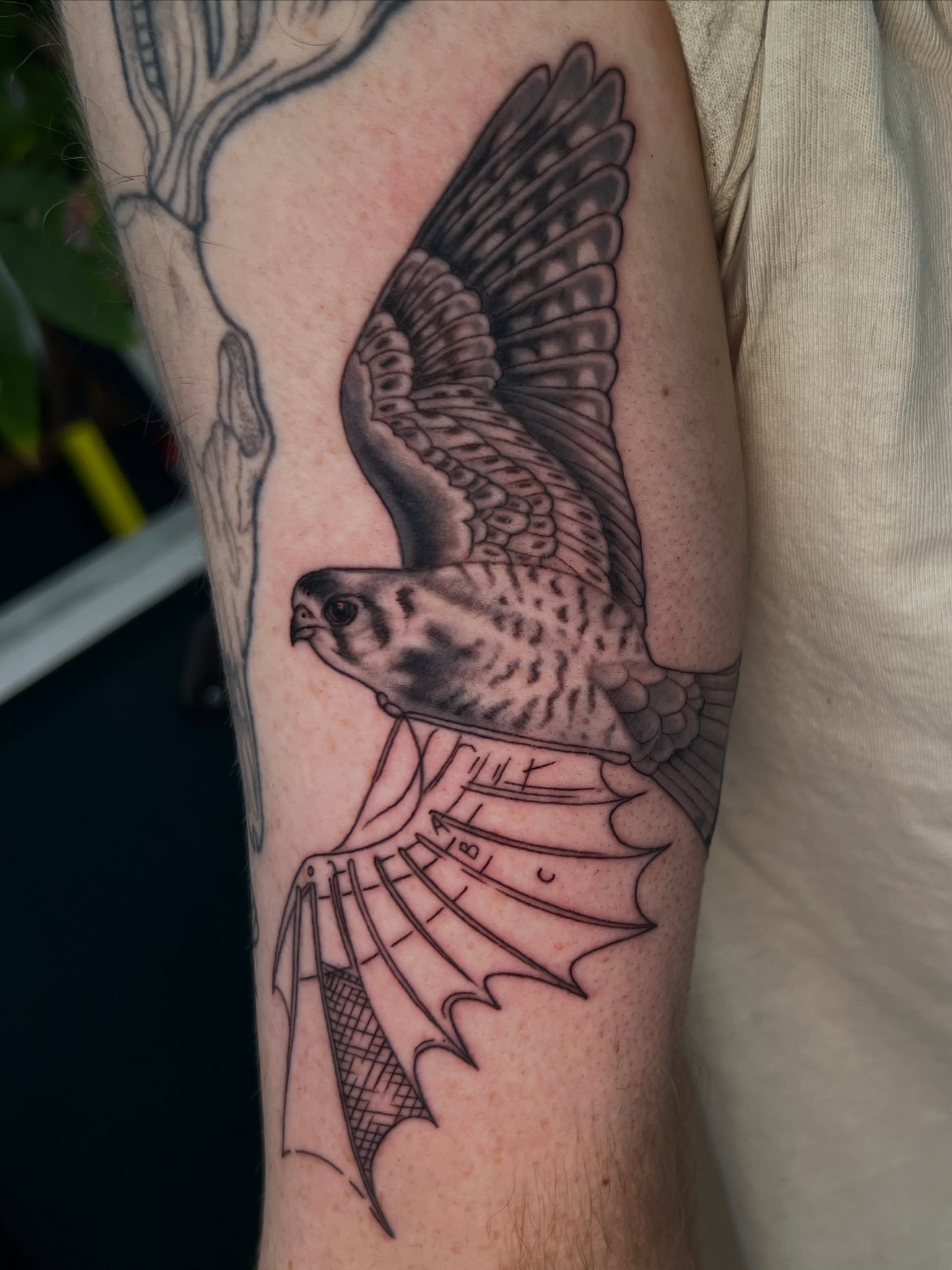 Hawk realism tattoo on the forearm by Nikki Malfitano