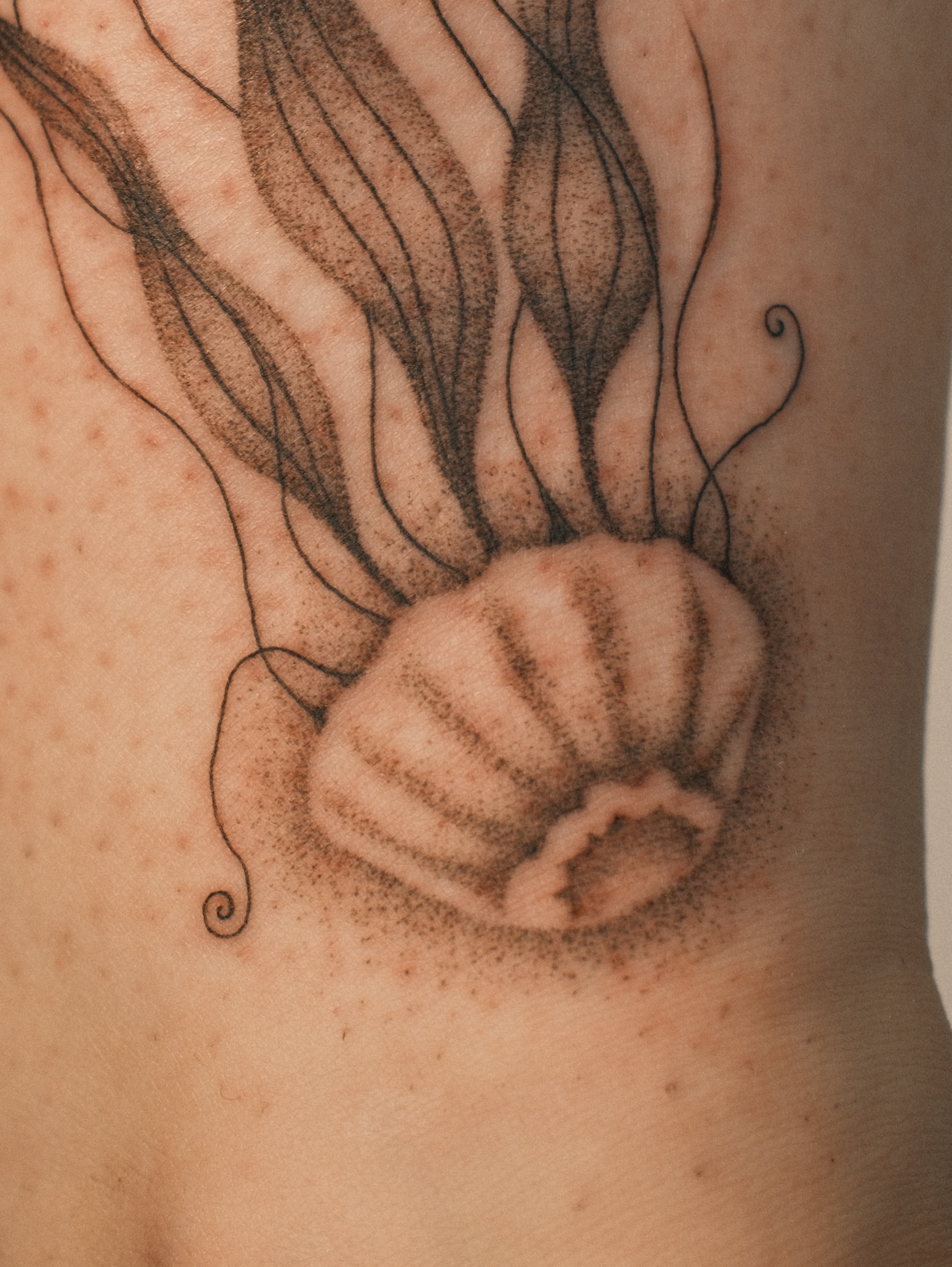 Shell dotwork tattoo on the forearm by Diana ๐ซ