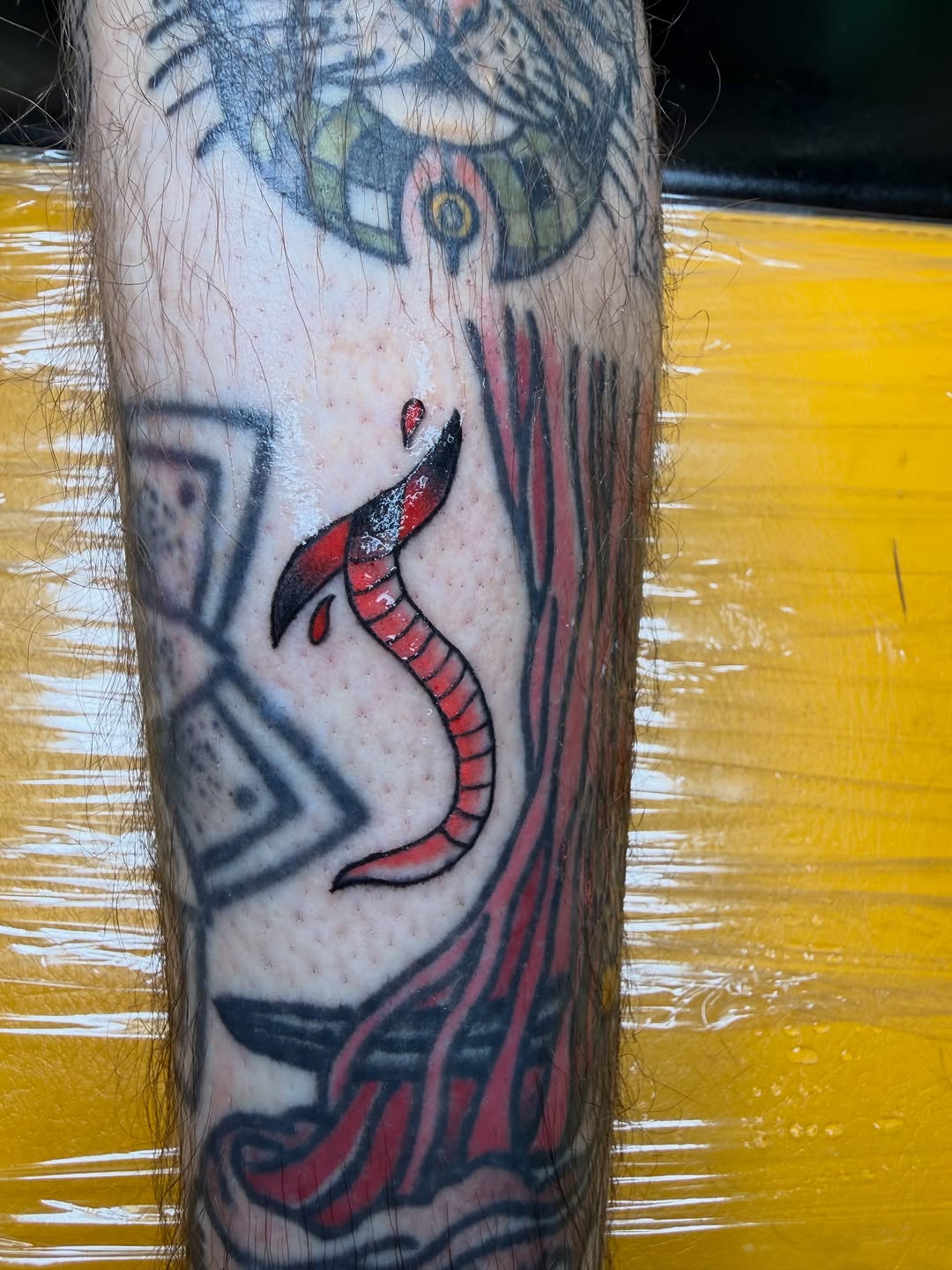 Tattoo by @_bug_brainsss__ — american_traditional