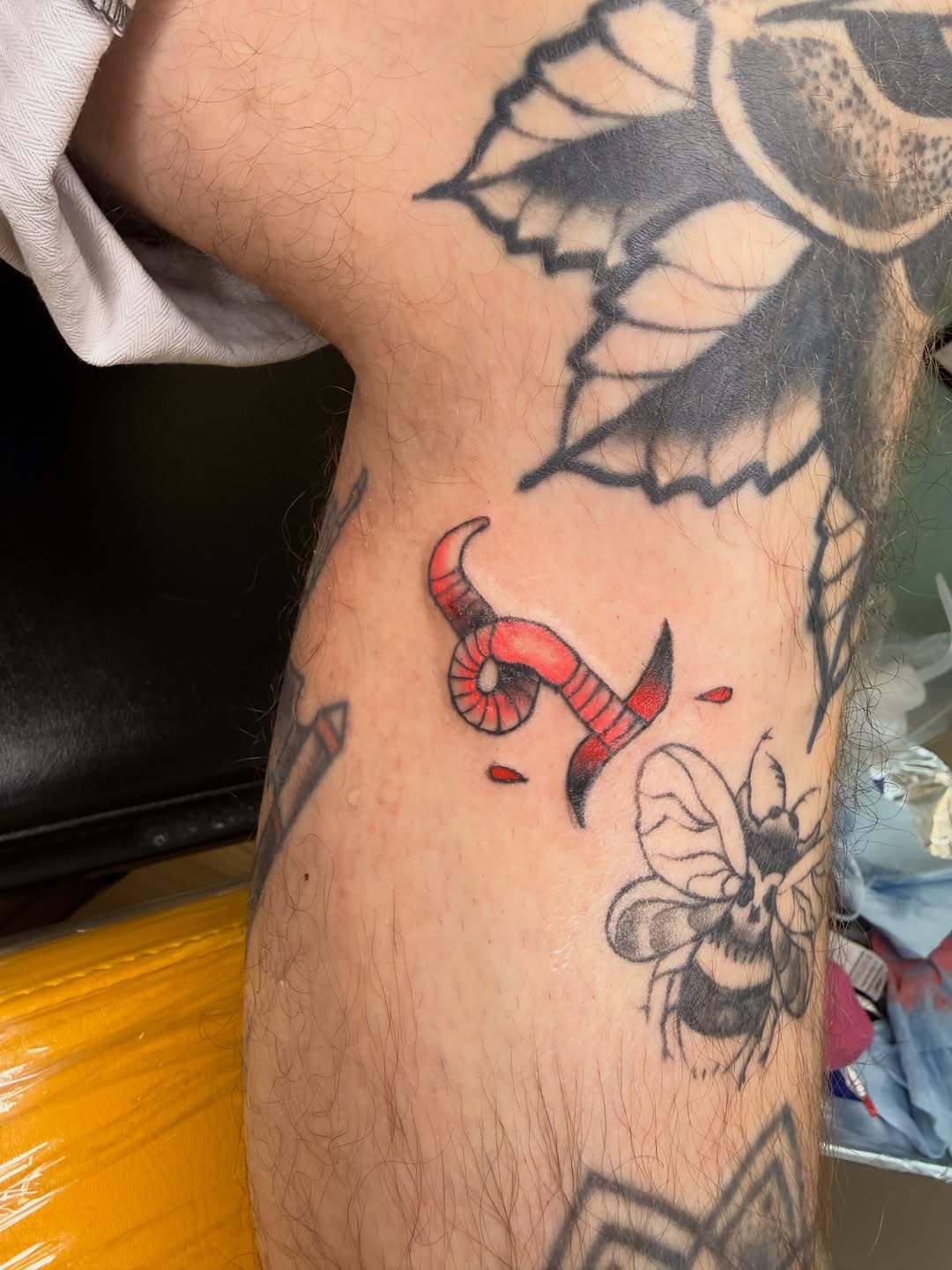Tattoo by @_bug_brainsss__ — american_traditional