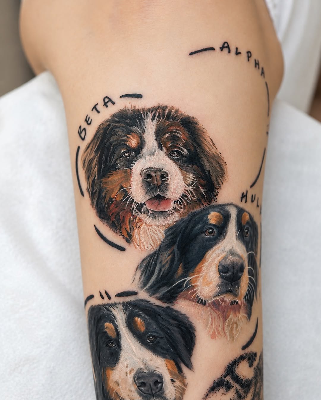 Portraits of three Bernese Mountain Dogs realism tattoo on the forearm by Adam_Zhiwei Xu(Tattooist)