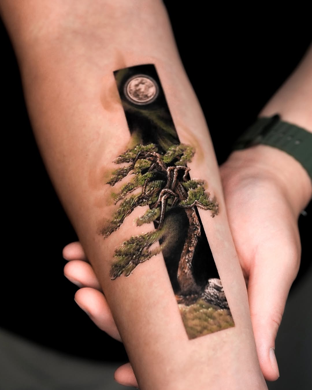 Bonsai tree and moon fine line tattoo on the forearm by Rizn