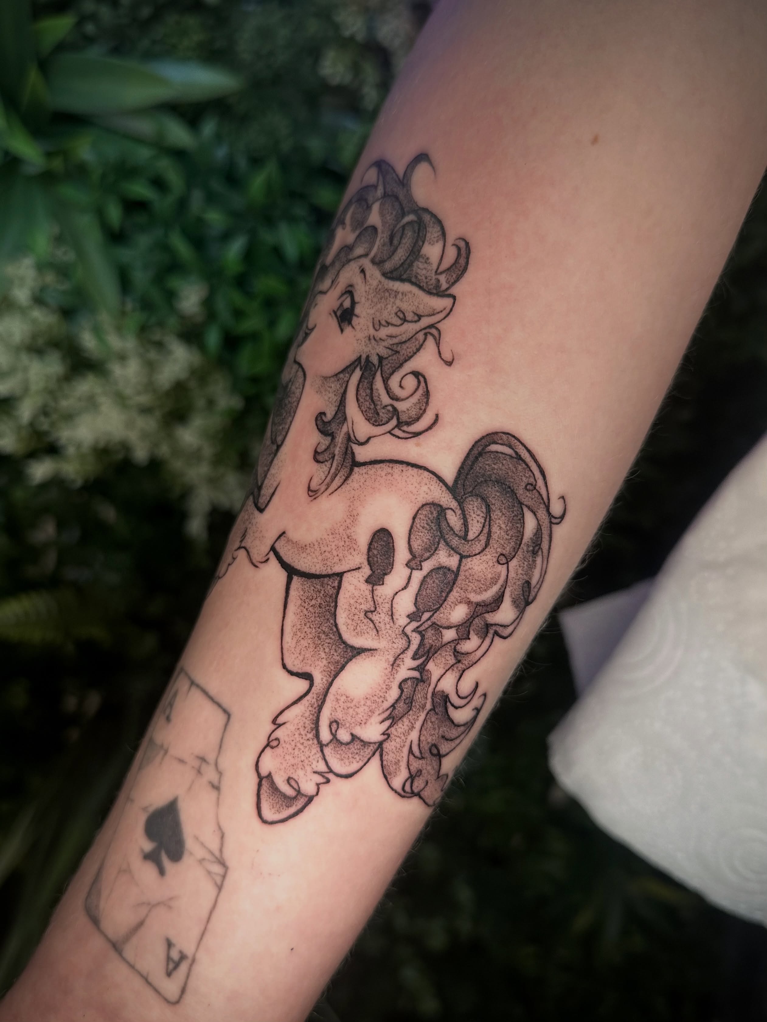 Tattoo by @moggy_tattoo โ dotwork