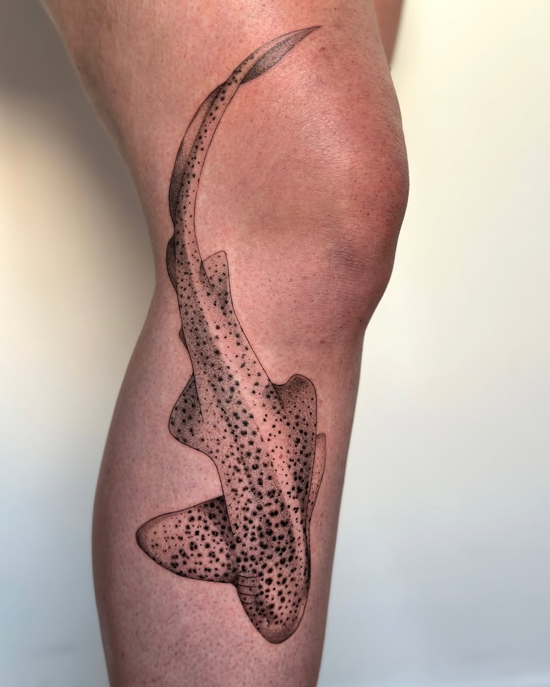 Tattoo by olivia, Philadelphia, PA