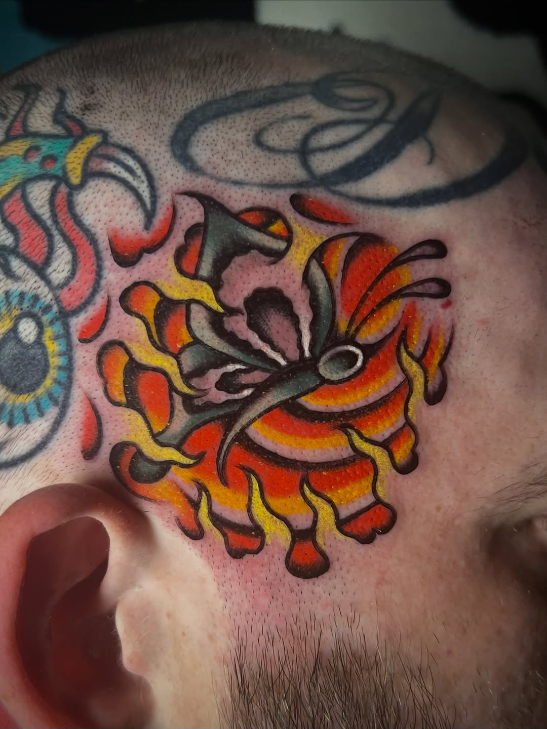 Tattoo by @mattalexandertattoo — american_traditional, neo_traditional