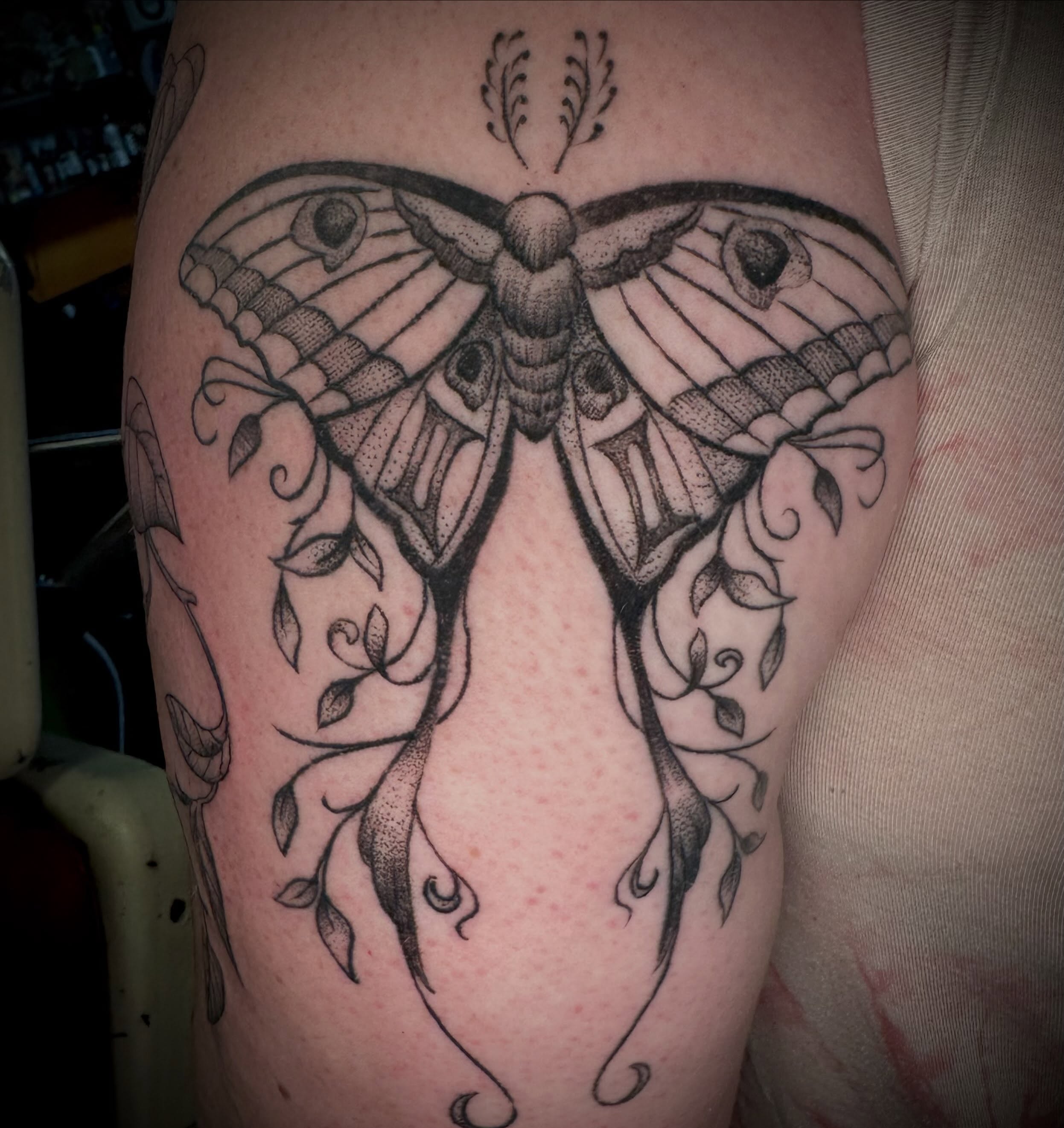 Moth dotwork tattoo on the thigh by Alan