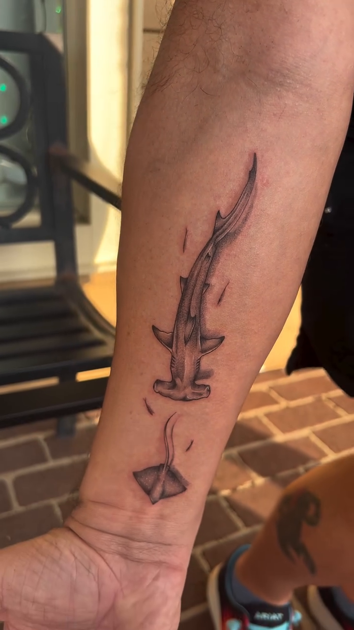 Hammerhead shark and stingrays fine line tattoo on the forearm by Jai Woods