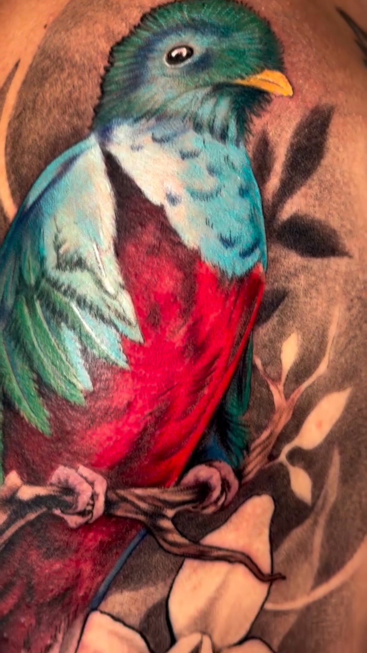 Tattoo by @hongo.azul.tattoos — realism, color
