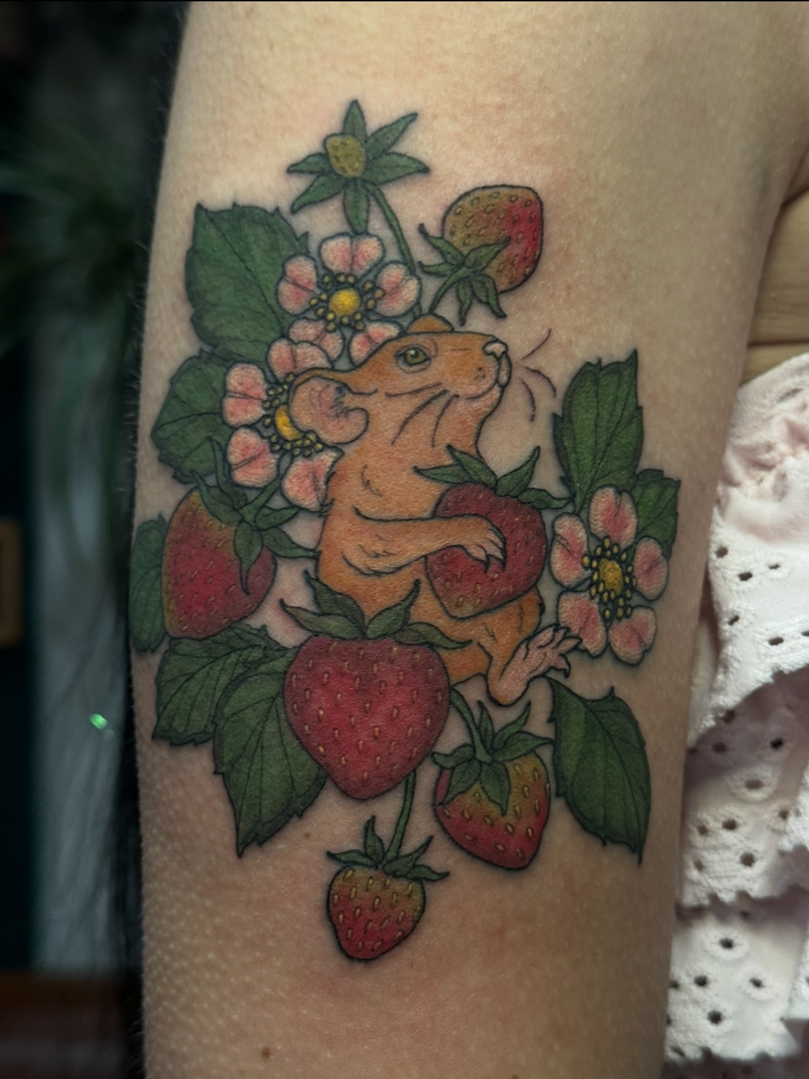 Strawberry mouse new school tattoo on the forearm by jess jené jones, Portland, Oregon