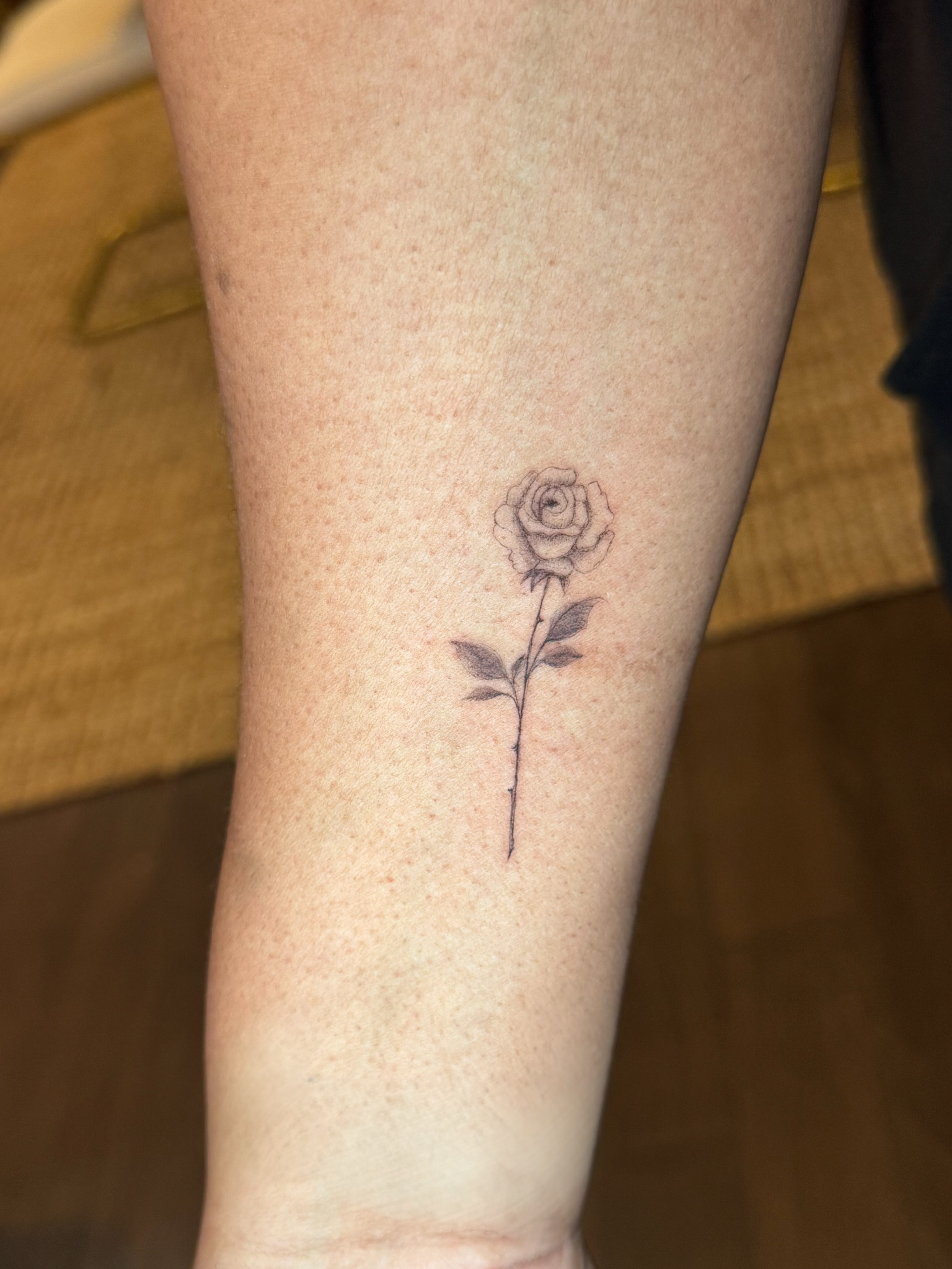 Tattoo by @alenanebotattoos — fine_line