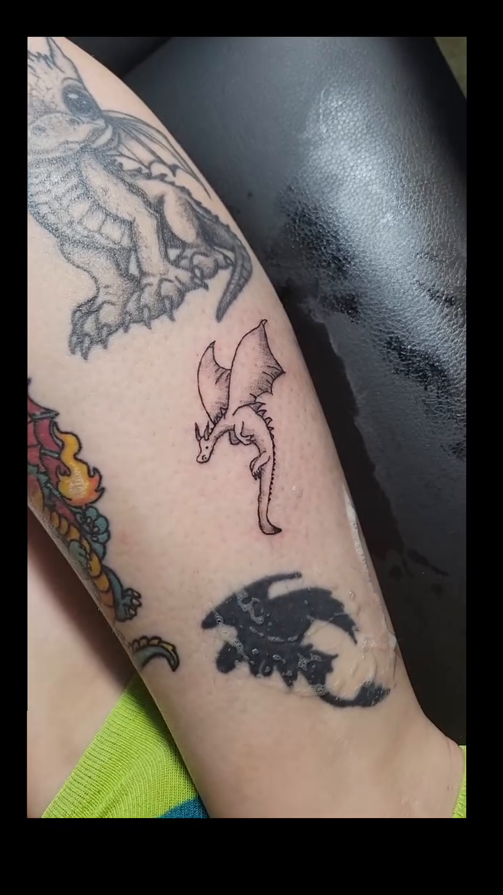 Dragon and owl tattoo fine line tattoo on the forearm by Bee