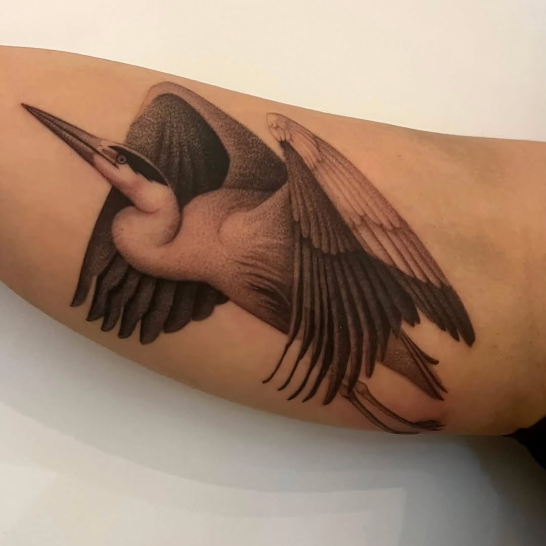 Heron in flight fine line tattoo on the forearm by 𝑱𝒖𝒍𝒊𝒂𝒏𝒏𝒂 𝑴𝒆𝒏𝒏𝒂✥𝑷𝒉𝒊𝒍𝒂𝒅𝒆𝒍𝒑𝒉𝒊𝒂✥𝑩𝒍𝒂𝒄𝒌 𝒂𝒏𝒅 𝑮𝒓𝒂𝒚