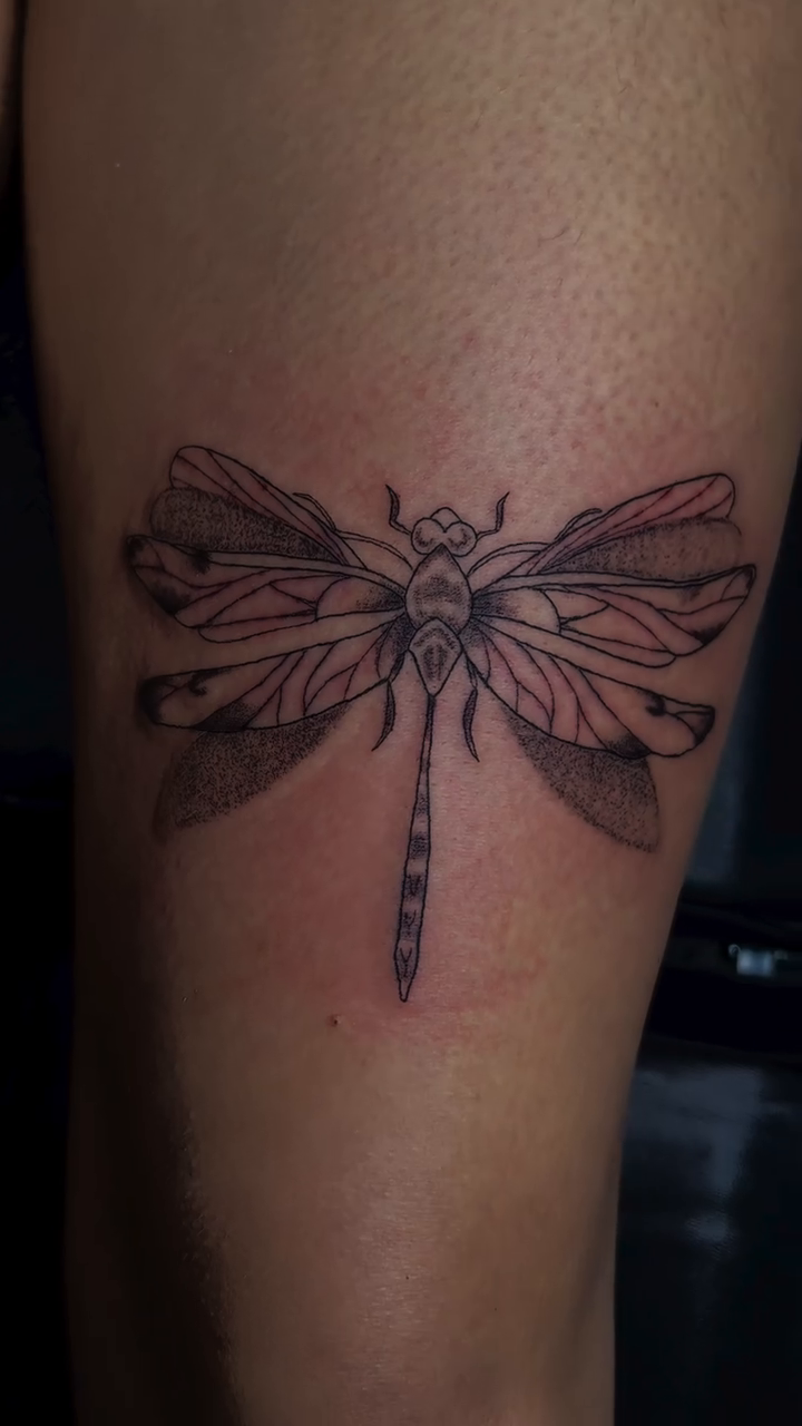 Dragonfly tattoo fine line tattoo on the forearm by Cece, Las Vegas, Nevada