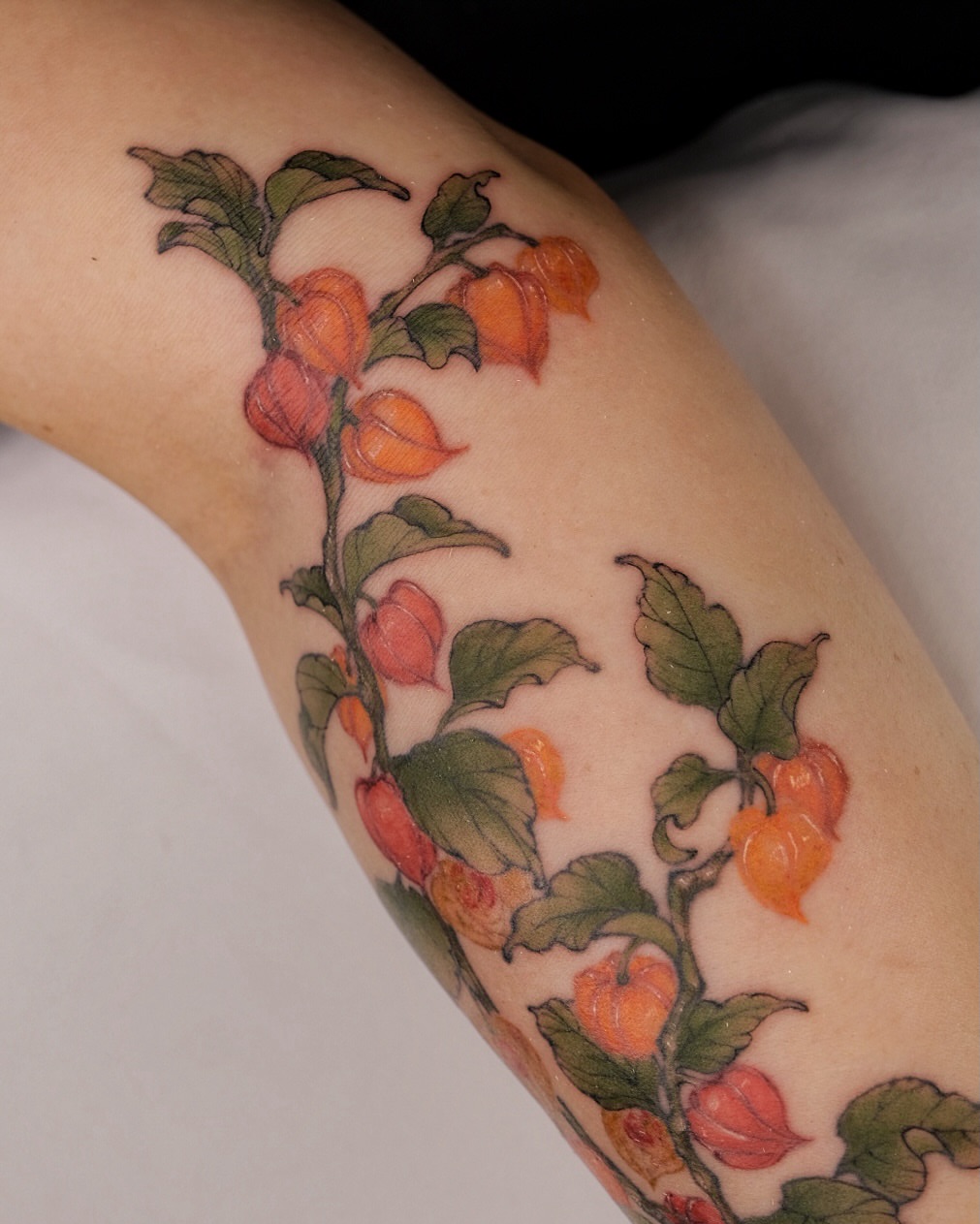Groundcherry plant realism tattoo on the forearm by misa (mi isabelle) β€οΈβπ₯π