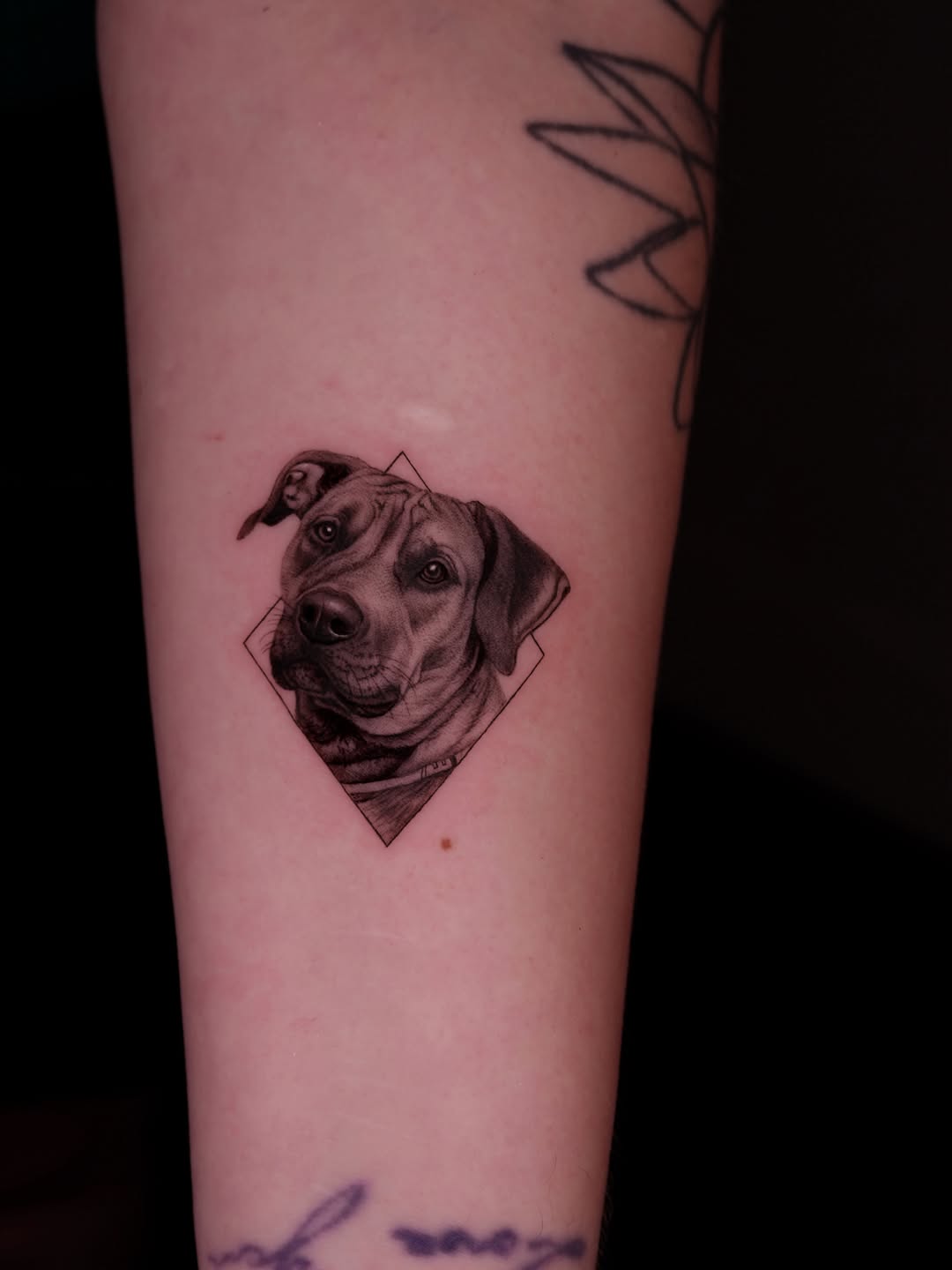 Tattoo by @iro_tattoo_ — realism, black_and_grey