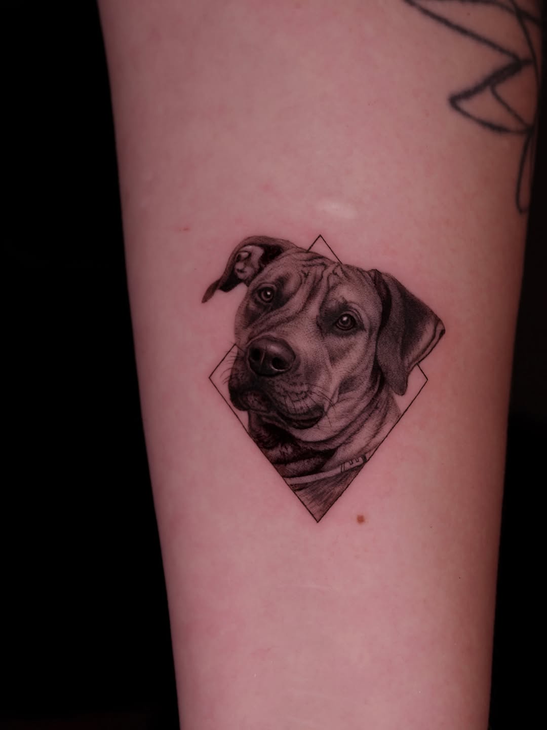 Tattoo by @iro_tattoo_ — realism, black_and_grey