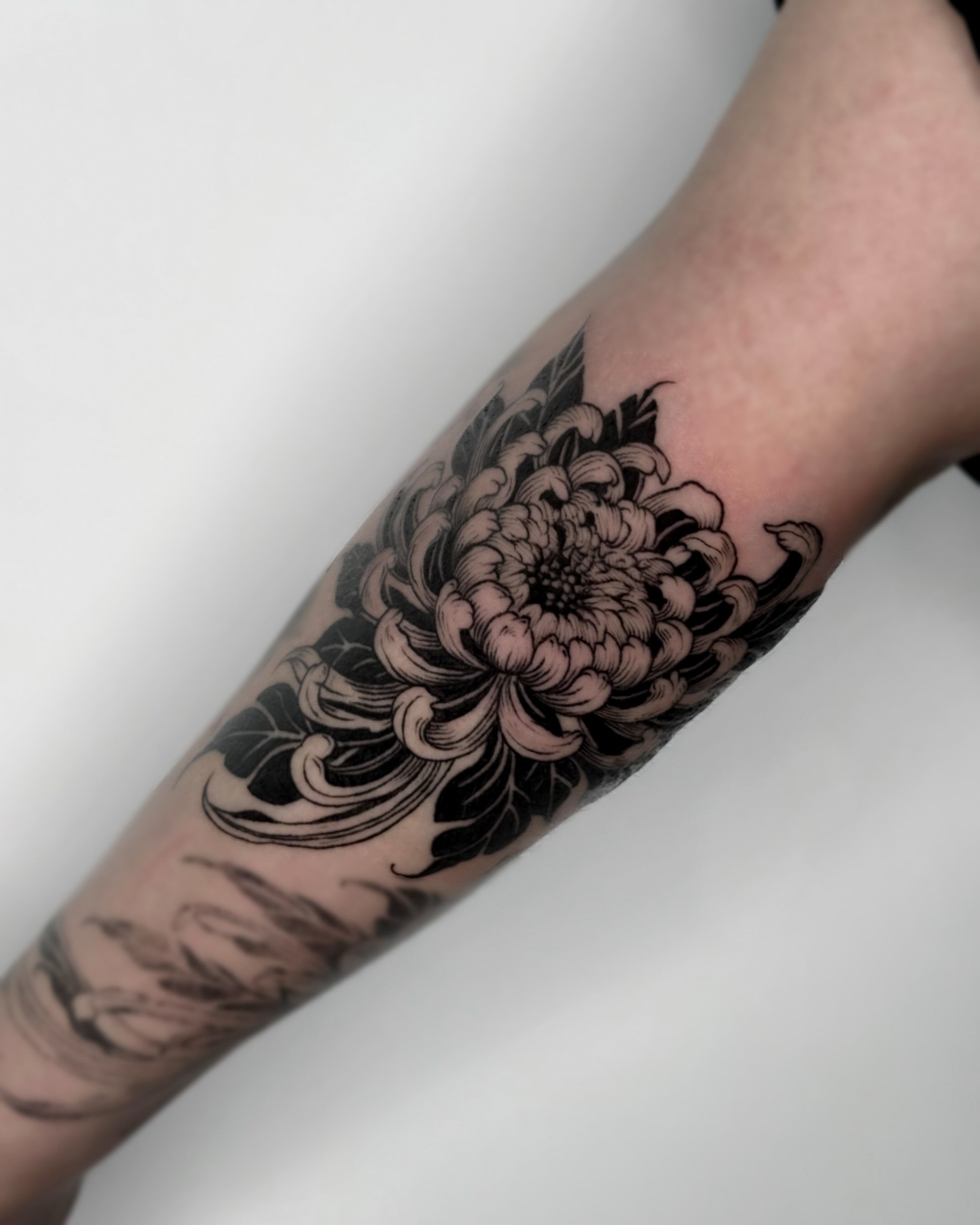 Tattoo by @mimo_tattooist__ — black_and_grey