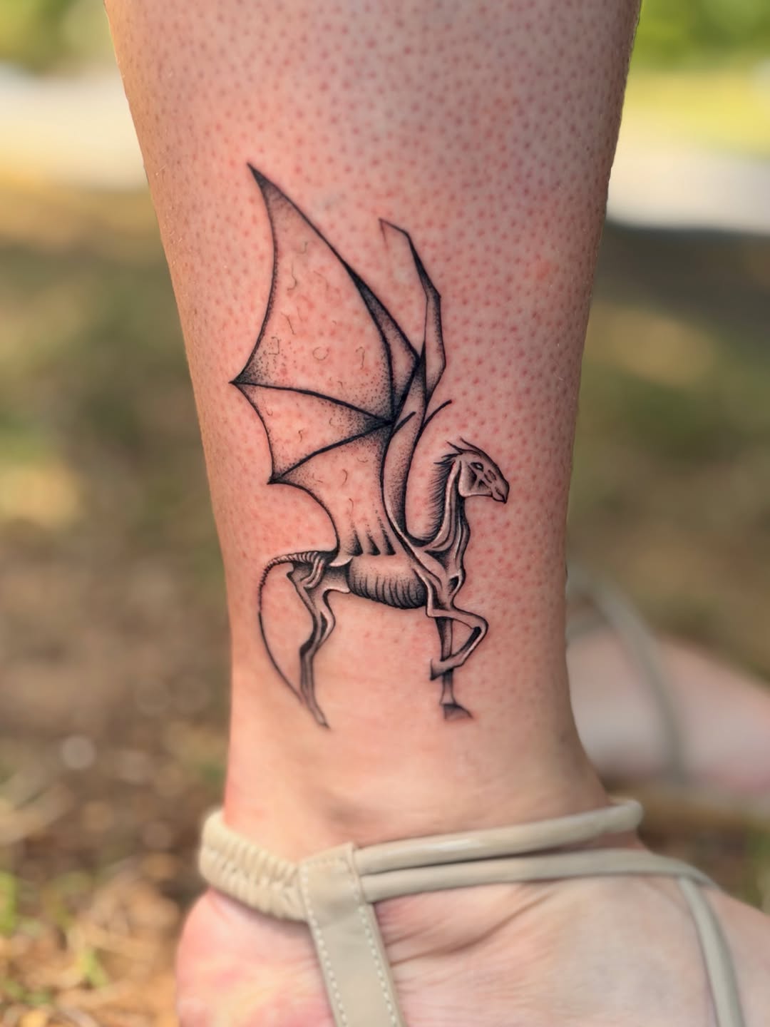 Winged horse fine line tattoo on the forearm by Emily Velletta, Huntersville, North Carolina