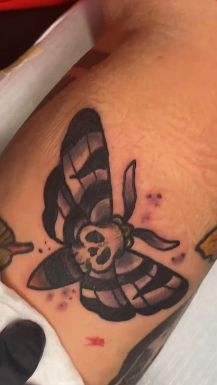 Death's head moth tattoo fine line tattoo on the upper arm by Ian Dorman