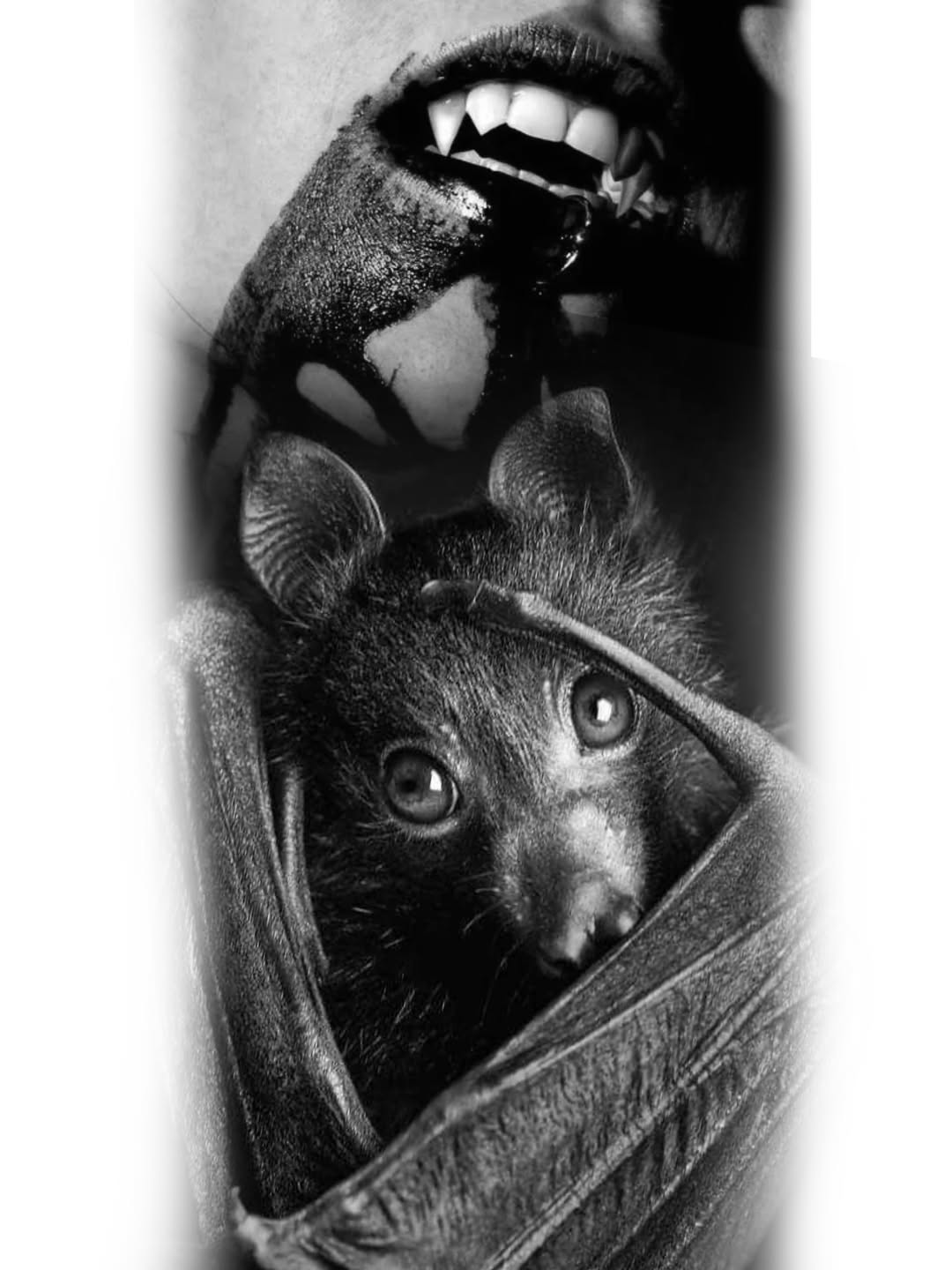 Tattoo by @rikkileetattoo — realism, dark_realism