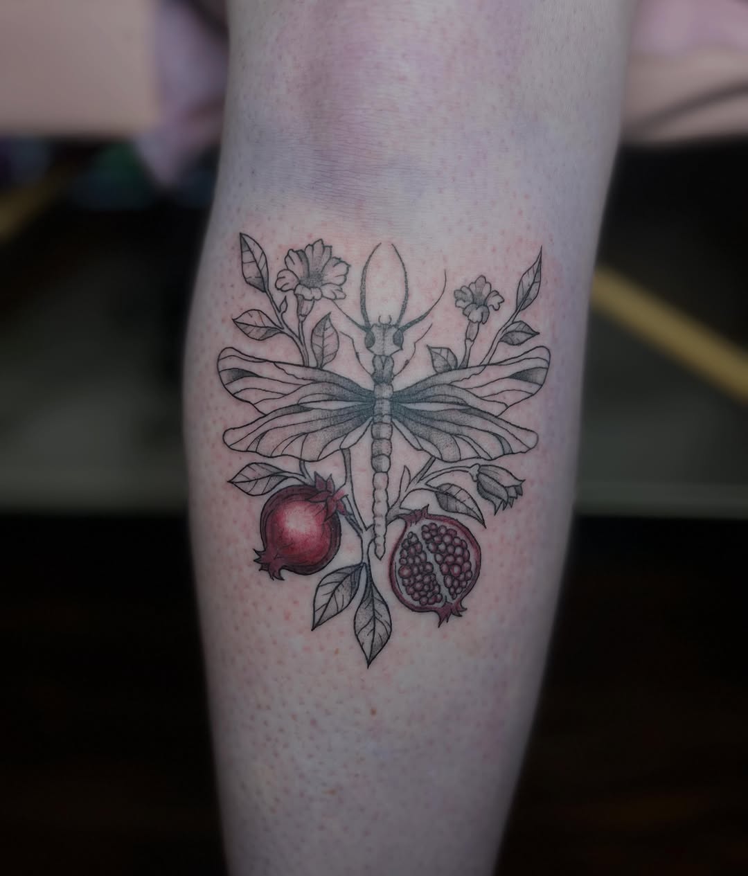 Dragonfly with pomegranates and flowers fine line tattoo on the forearm by Jazzy