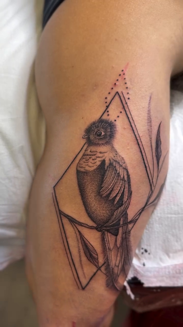 Bird in geometric frame fine line tattoo on the thigh by WhoisLaineyTattoos