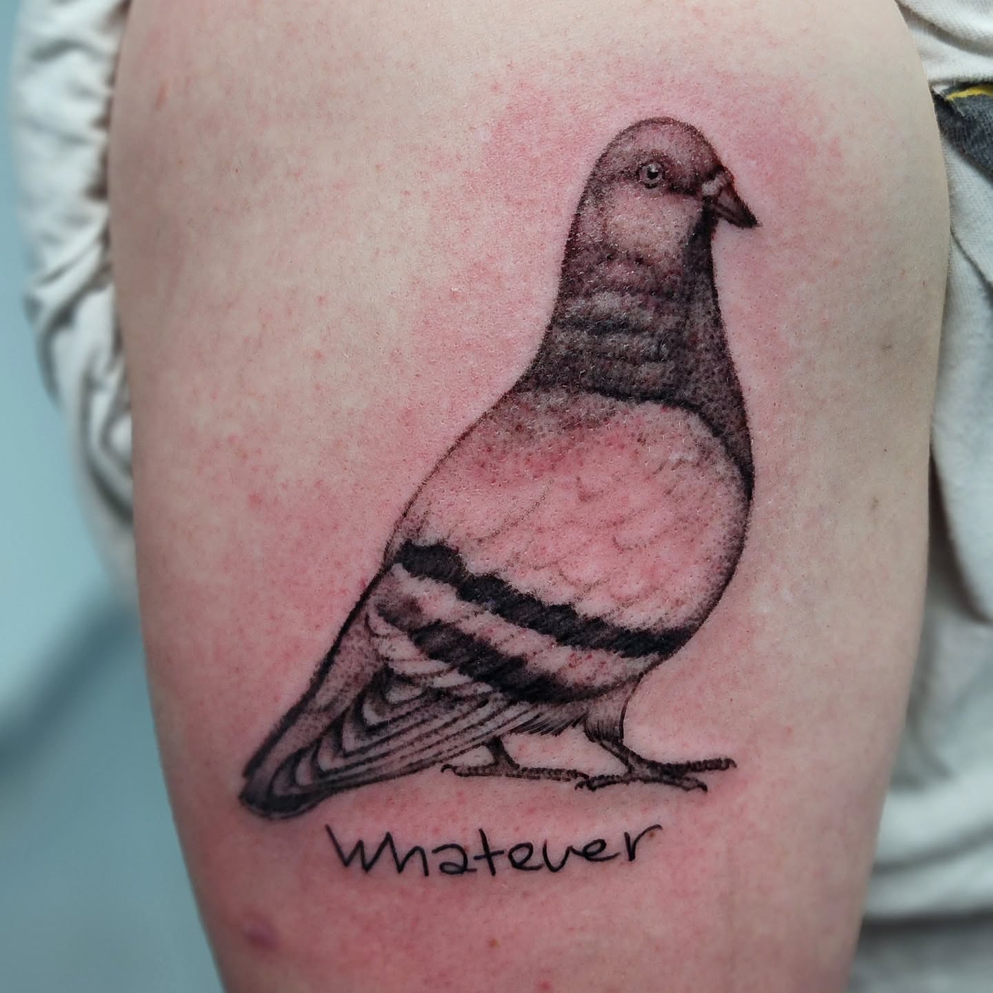 Pigeon realism tattoo on the thigh by Katie Palmer