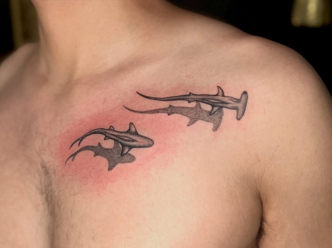 Hammerhead sharks fine line tattoo on the chest by Jocelyne ♡