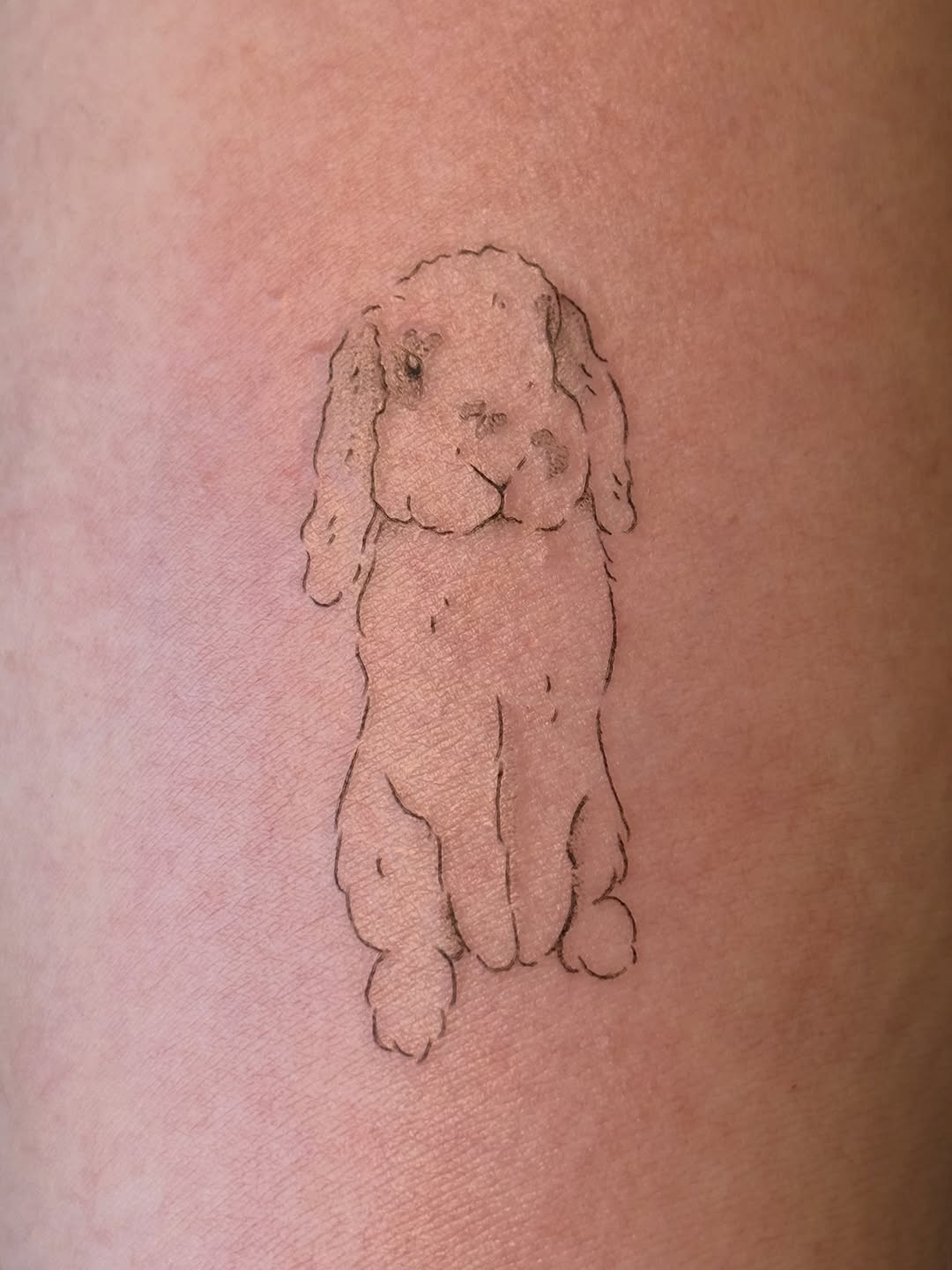 Tattoo by @bearangeltattoo — fine_line, minimalist