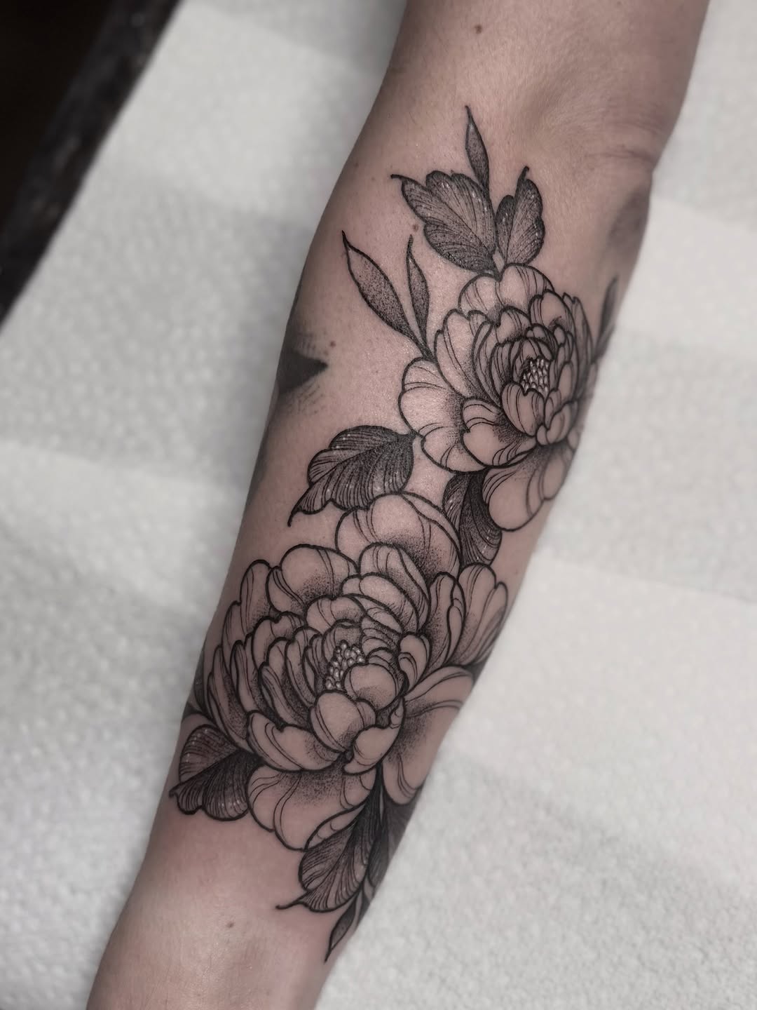 Tattoo by @anniebone_tattoo — black_and_grey, fine_line