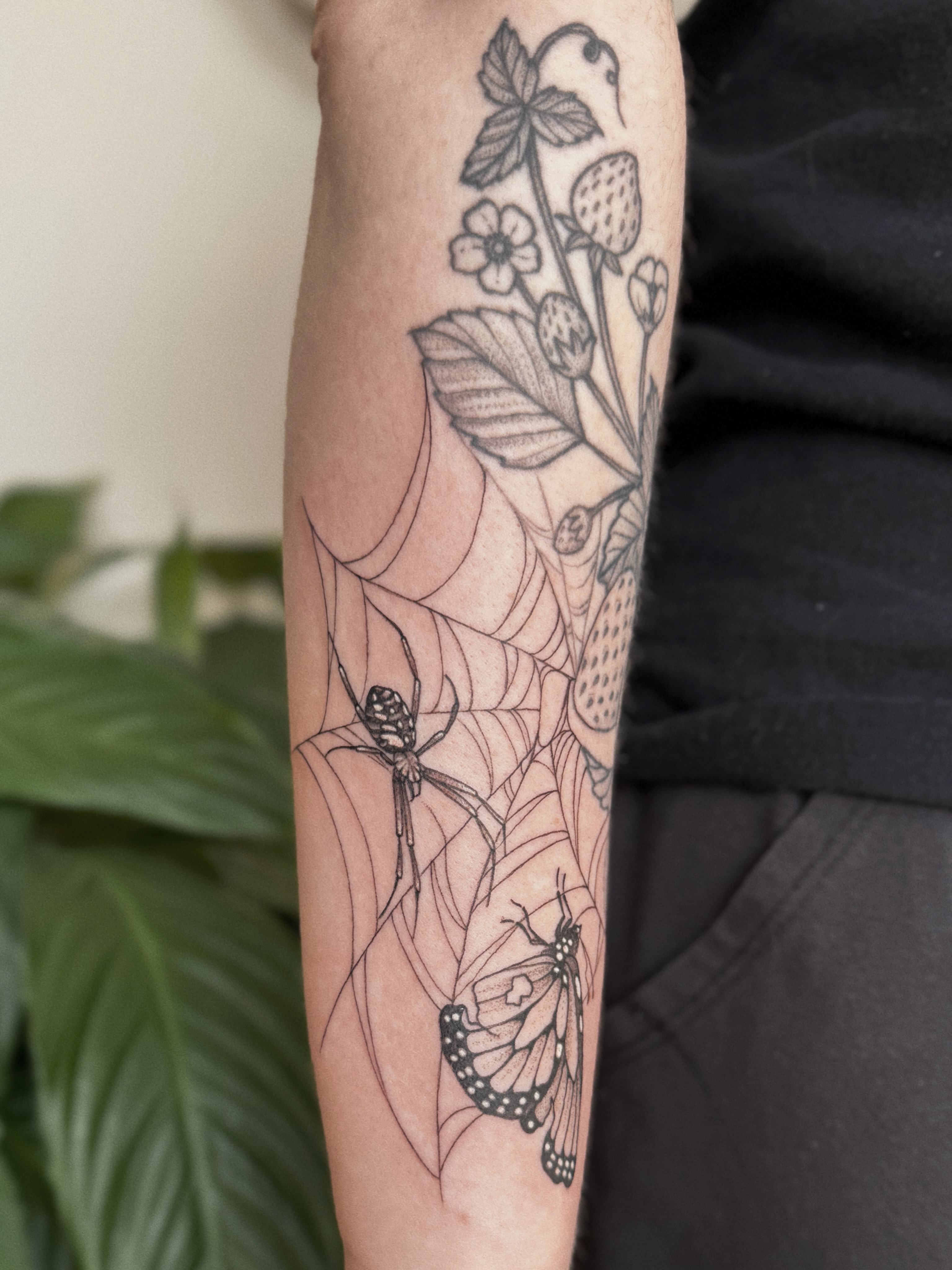 Spider web and butterfly realism tattoo on the forearm by 𝕵𝖊𝖘𝖘𝖎𝖈𝖆 𝕰𝖑 (raleigh tattoo artist)