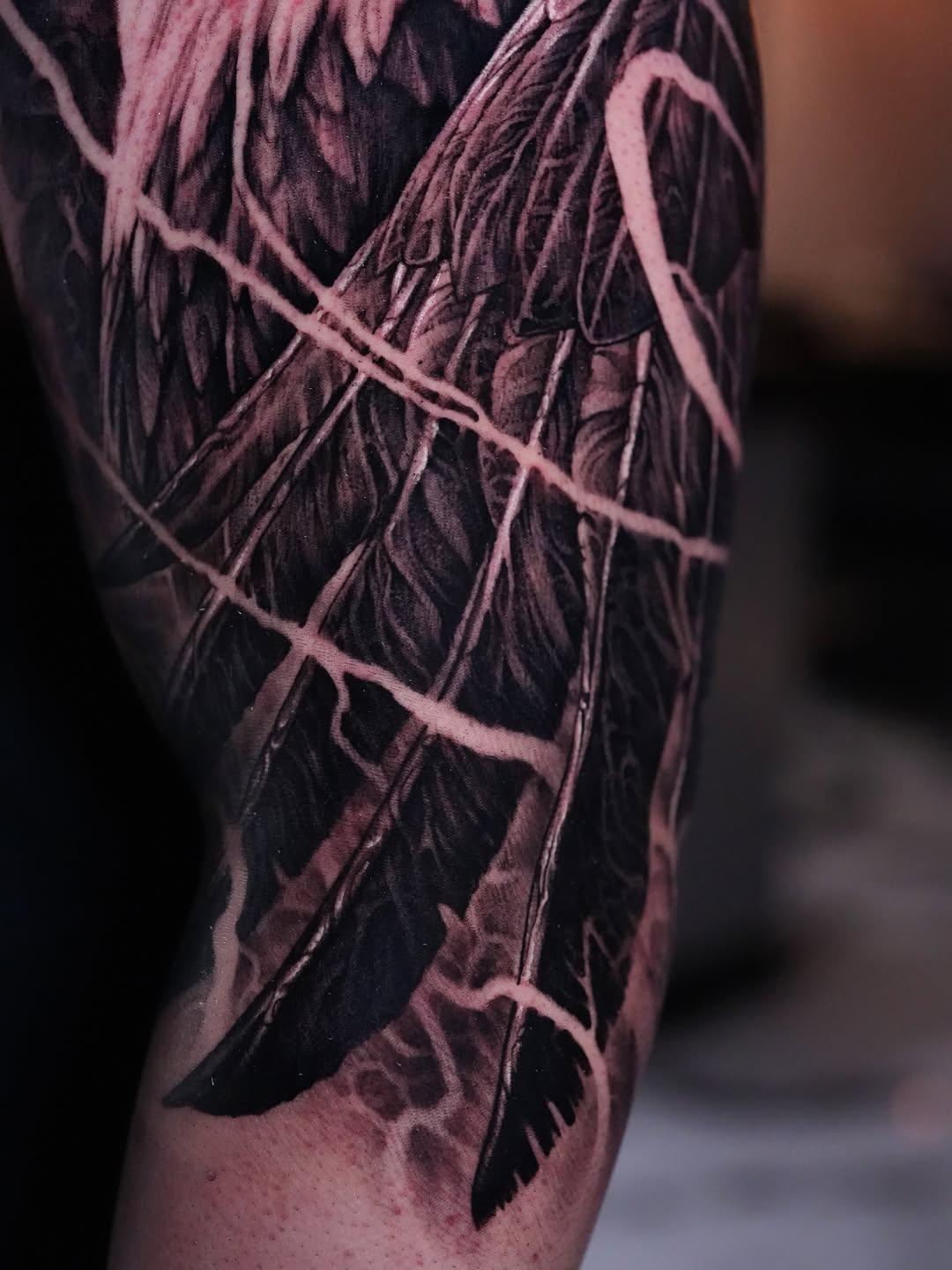 Feathers and lightning realism tattoo on the forearm by Nico Perez