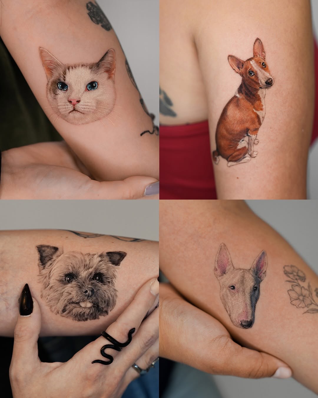 Cat portrait realism tattoo on the upper arm by Jun