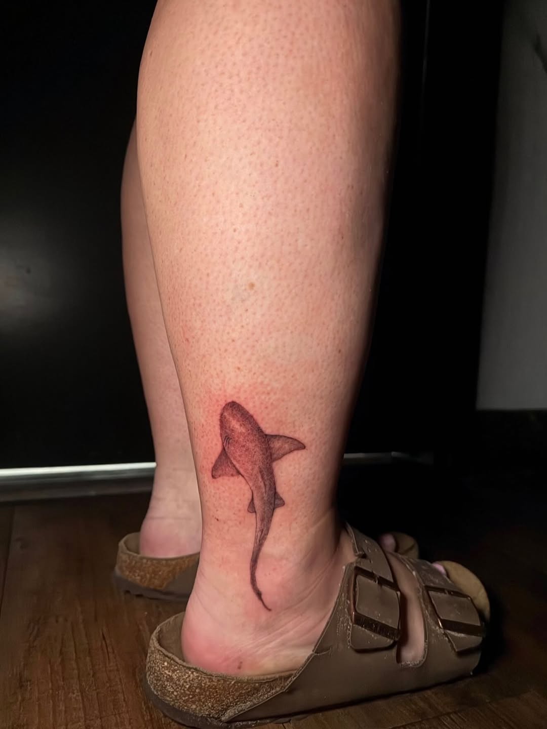 Shark fine line tattoo on the calf by @elijahtats