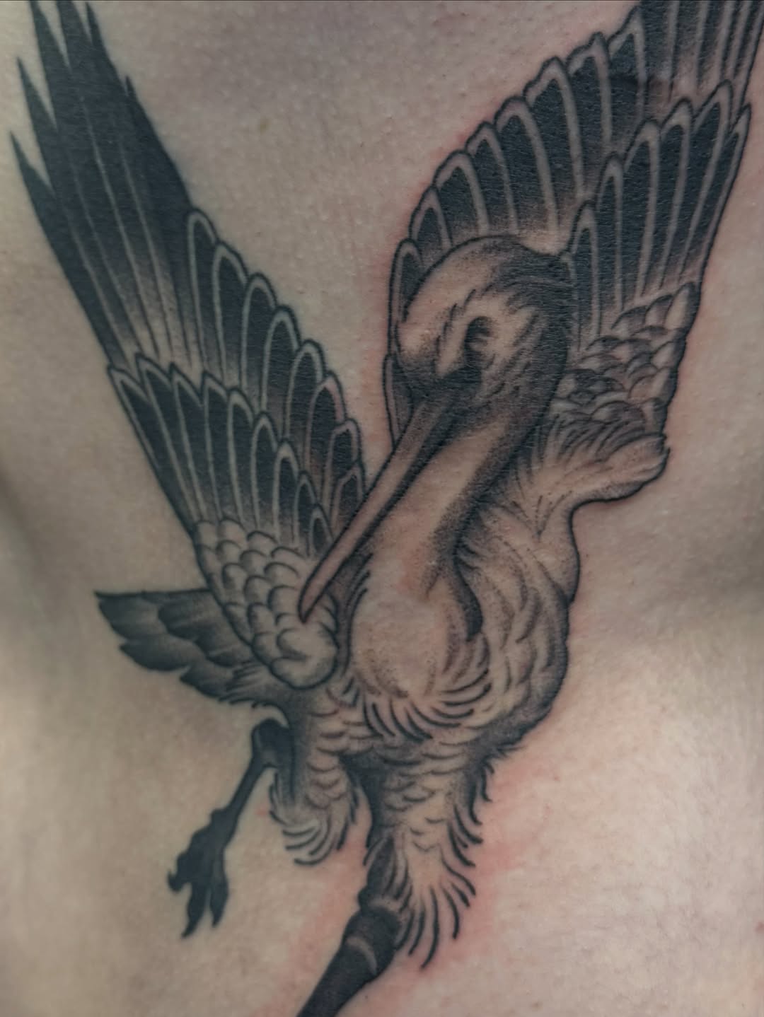 Tattoo by @willcampbellart — black_and_grey, realism