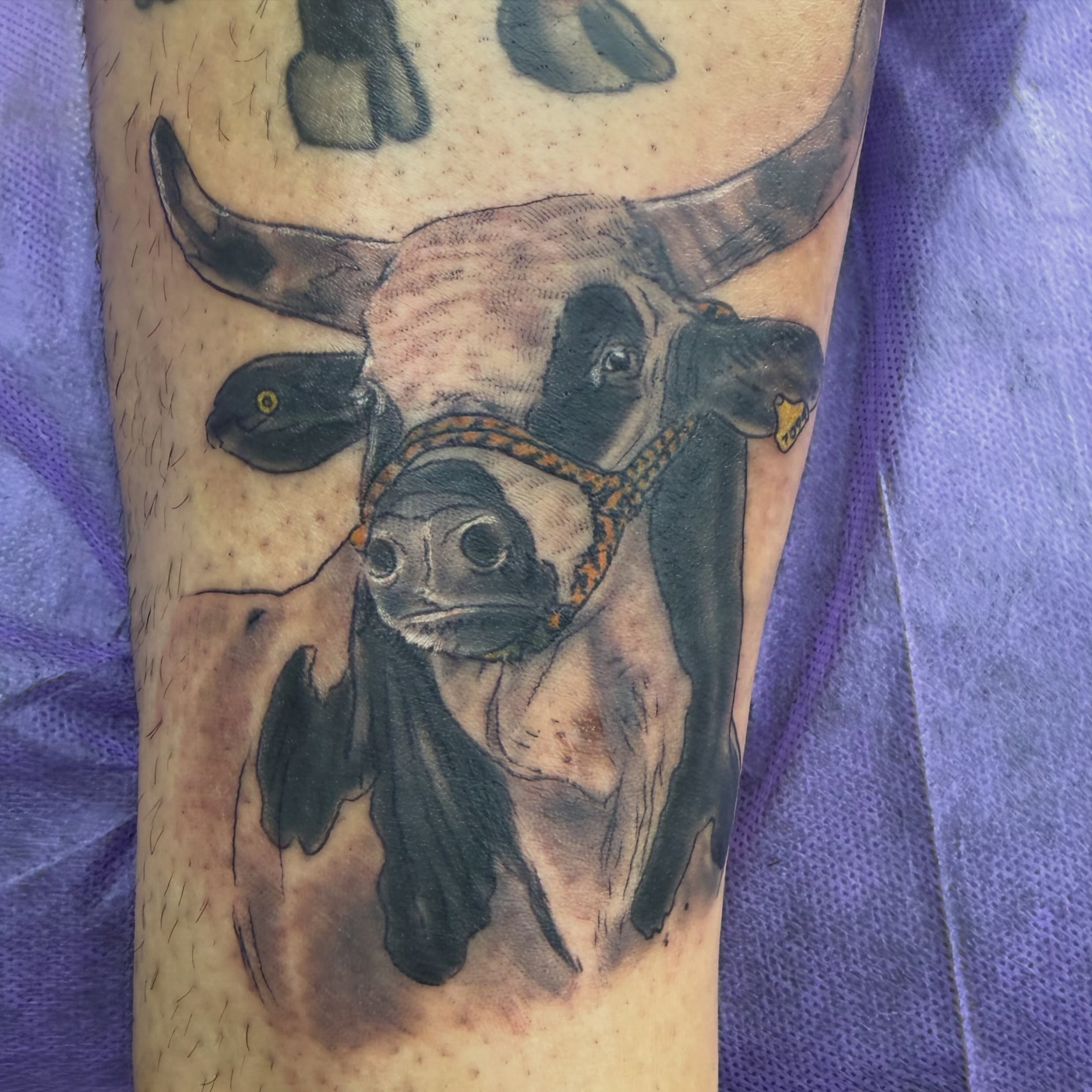 Tattoo by @mountpeaktattoo — realism