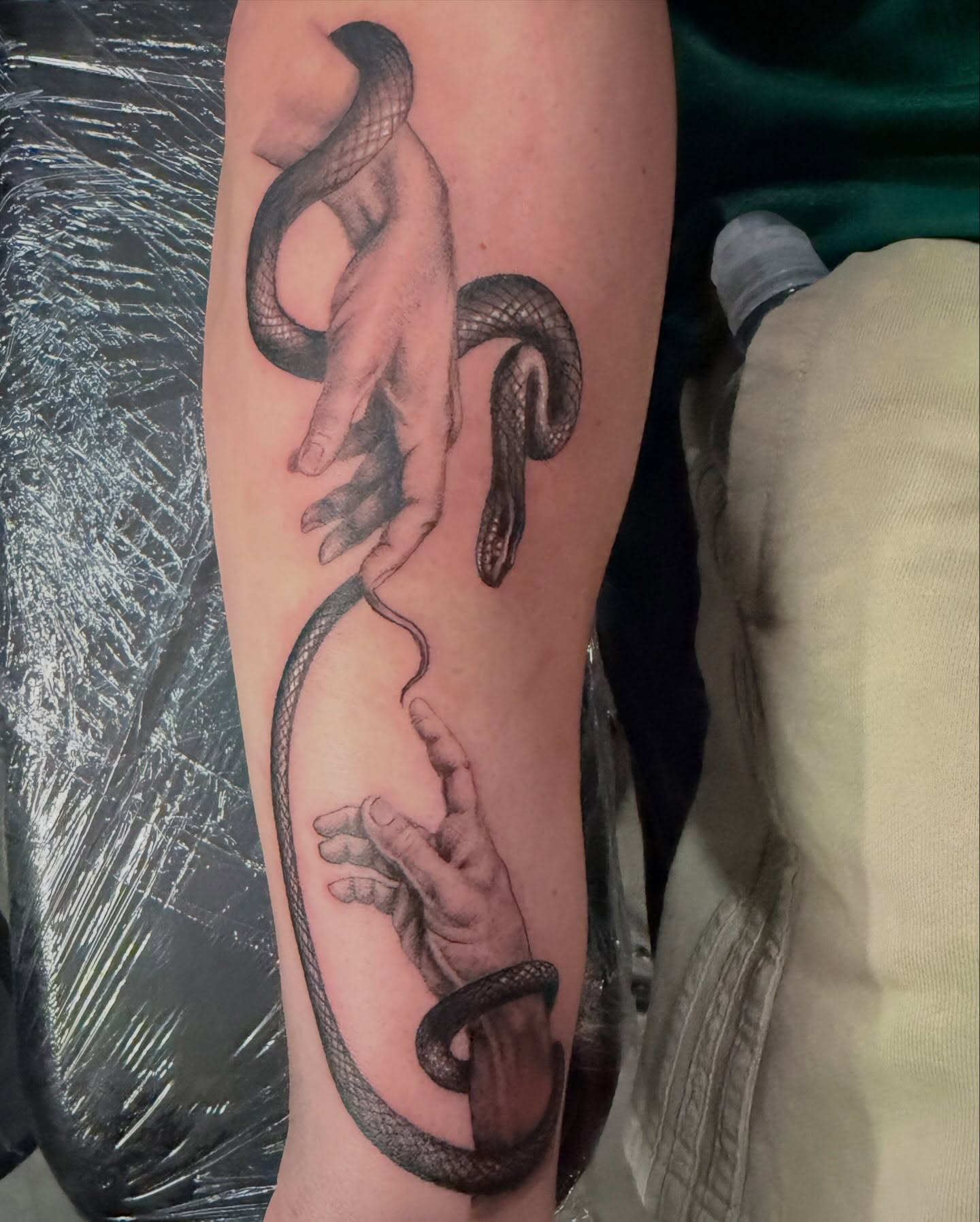 Snake and hands realism tattoo on the forearm by Las Vegas Artist π©π½βπ¨