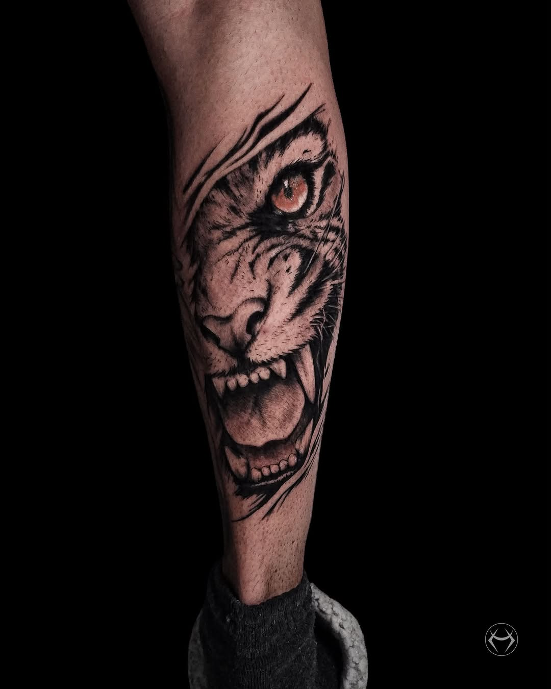 Tiger face realism tattoo on the forearm by Mali Sarsılmaz, Nicosia, Cyprus