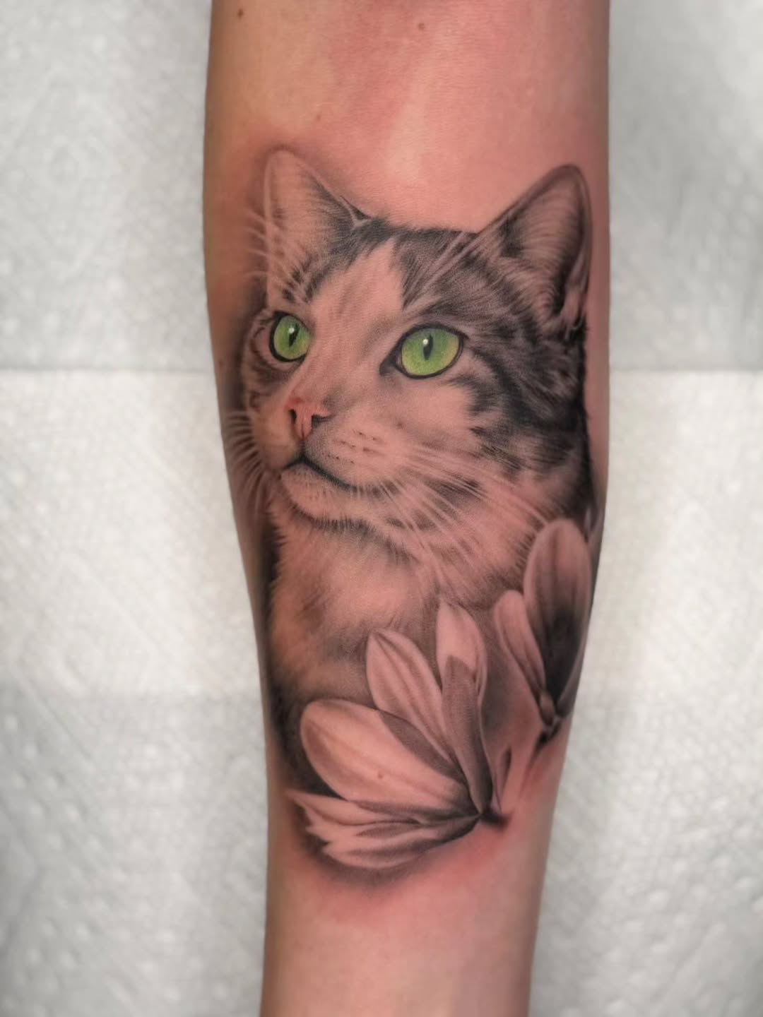 Cat and flowers realism tattoo on the forearm by Tattoos by Hanna, Farmington Hills, Michigan